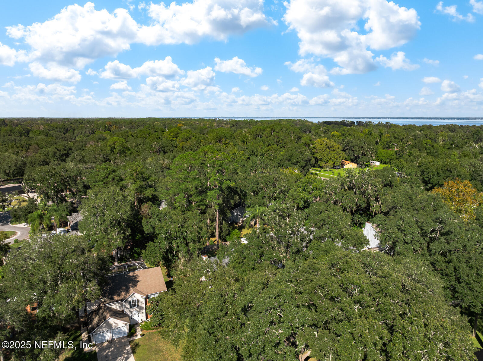 586 HIBERNIA OAKS Drive, Fleming Island