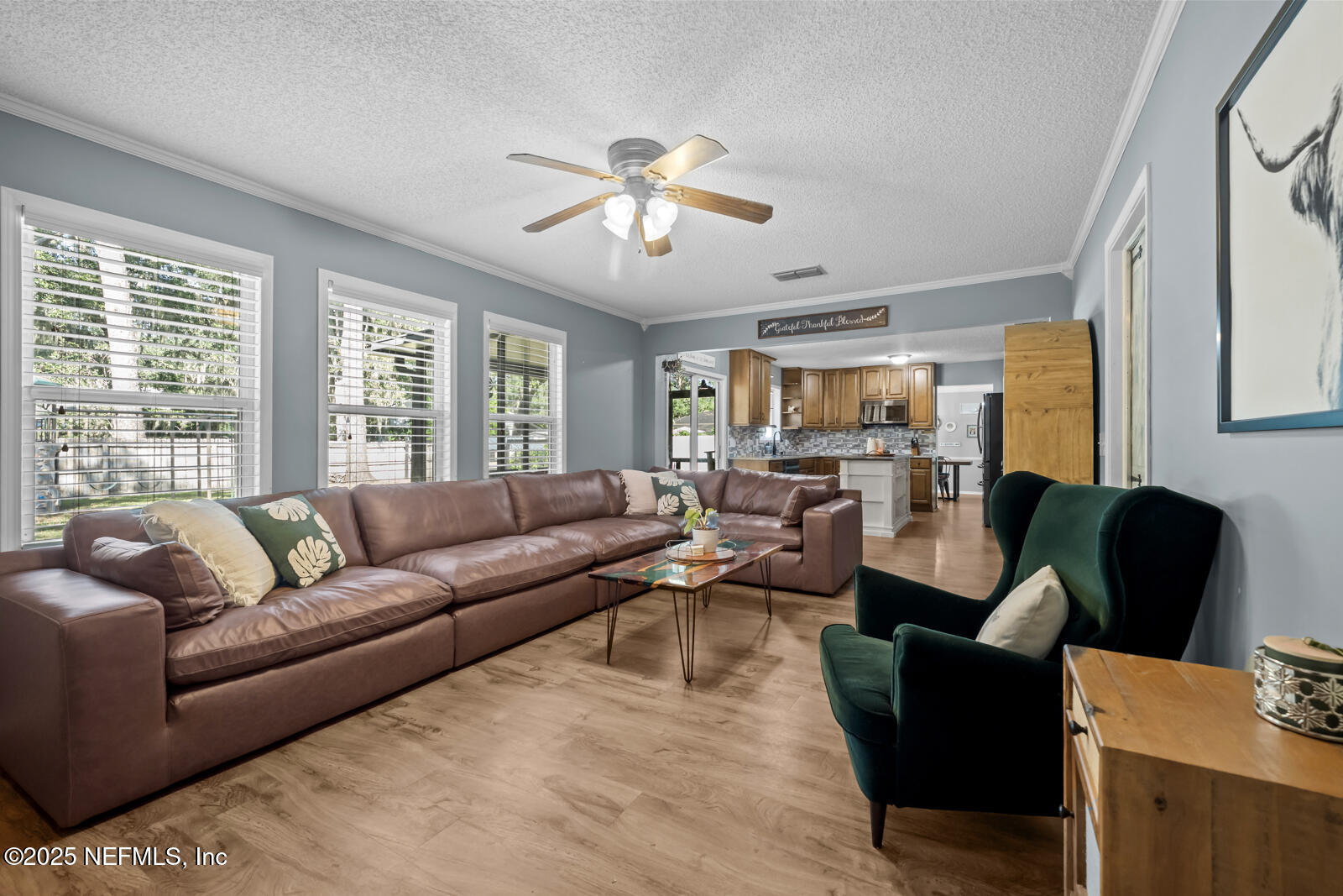 586 HIBERNIA OAKS Drive, Fleming Island