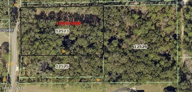 12523 ALADDIN Road, Jacksonville