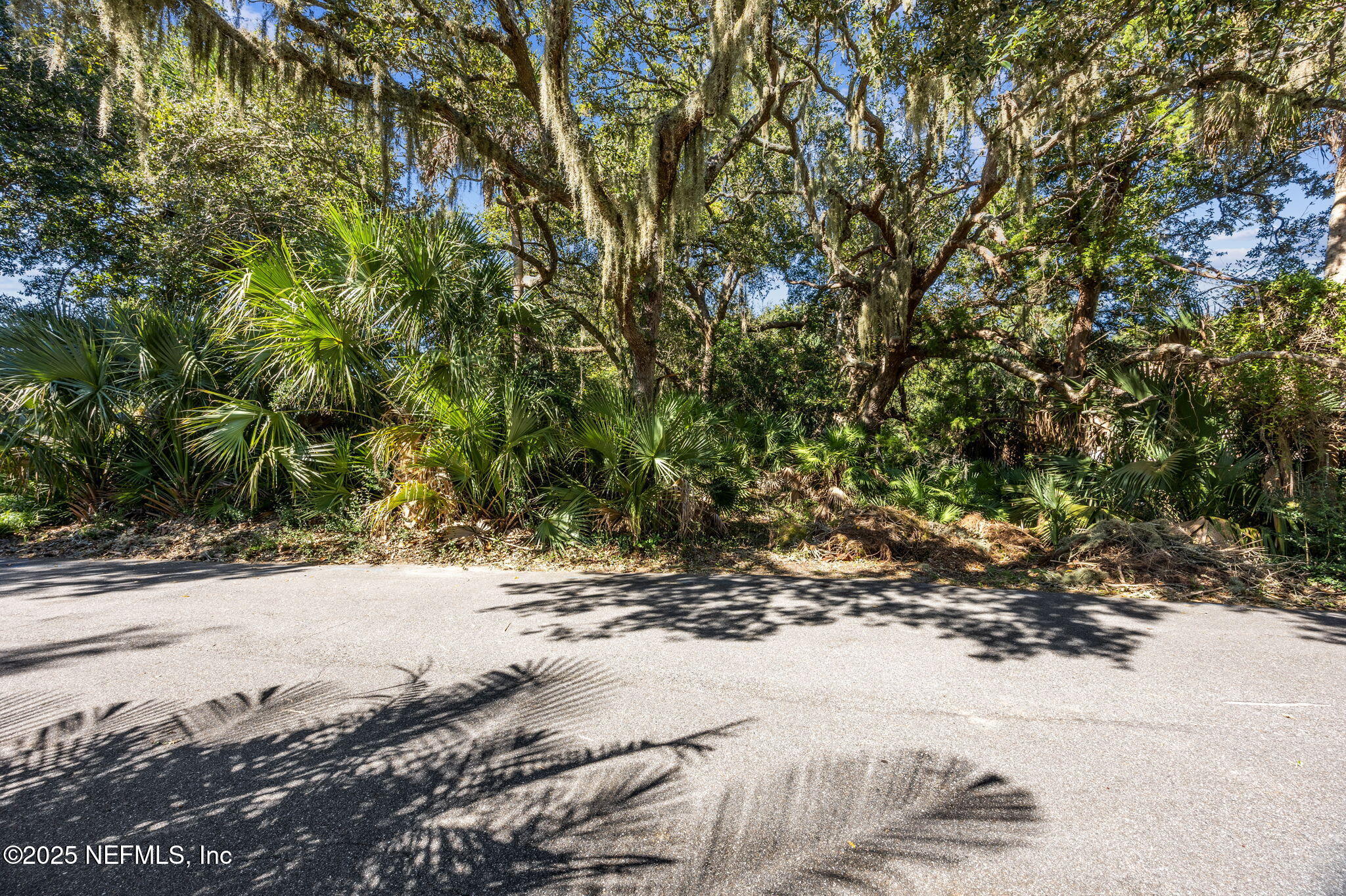 3 JUNIPER Court, Fernandina Beach