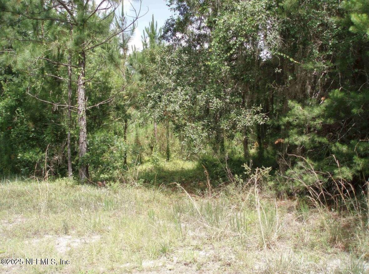 3381 3RD Street, Elkton