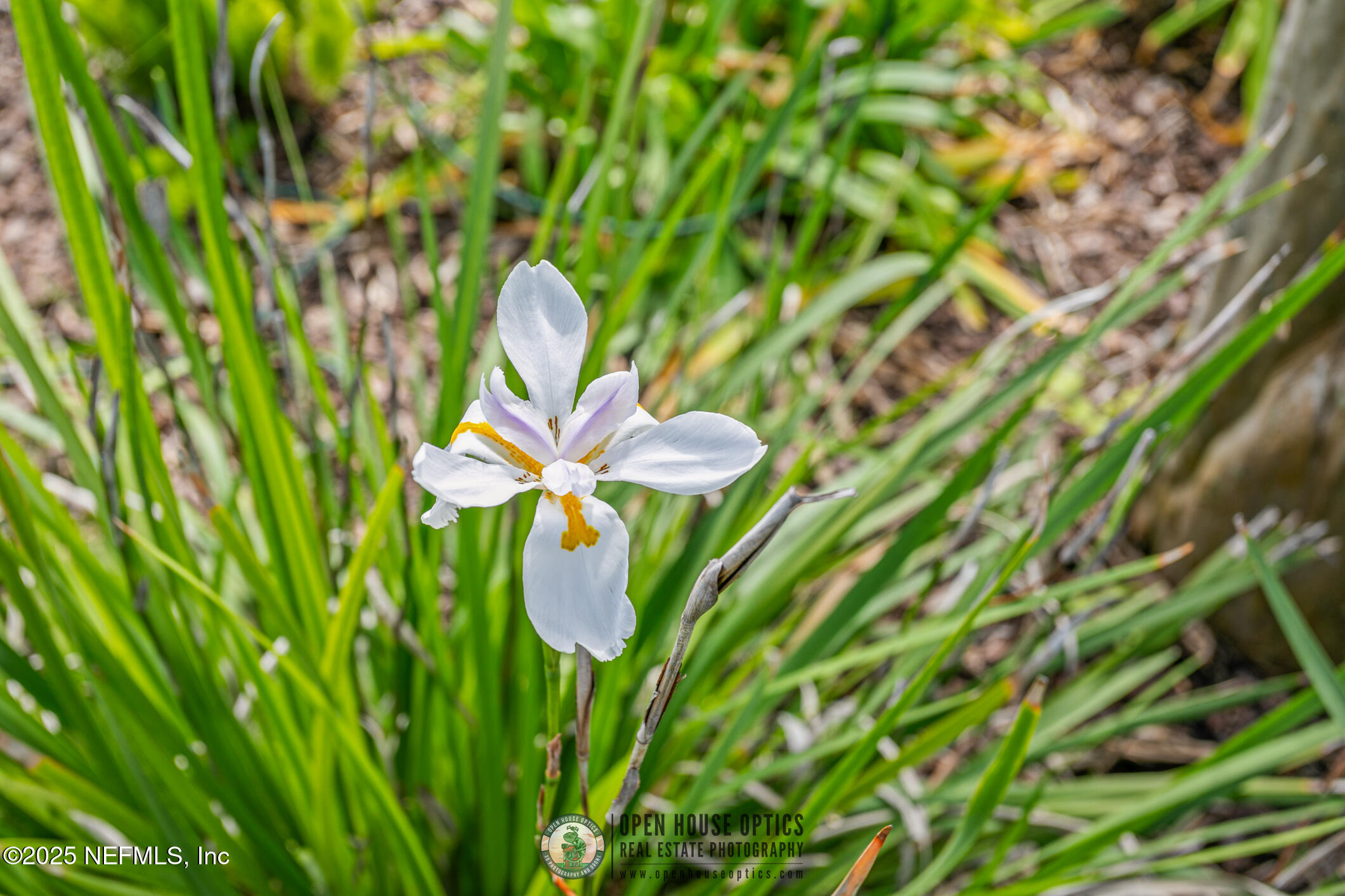 3528 BAY ISLAND Circle