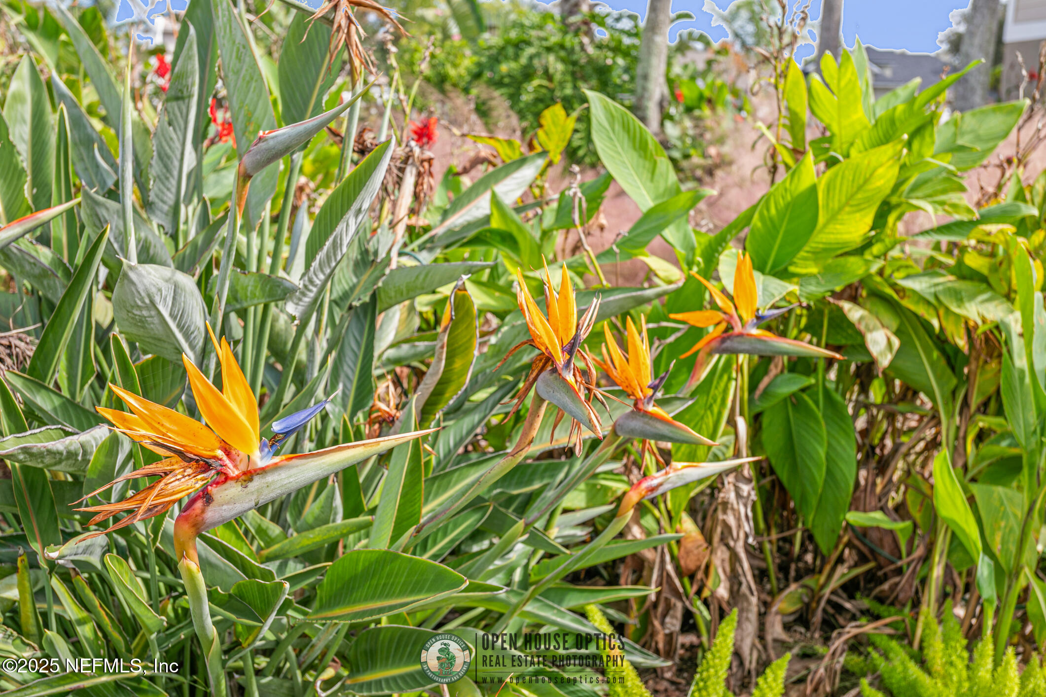 3528 BAY ISLAND Circle