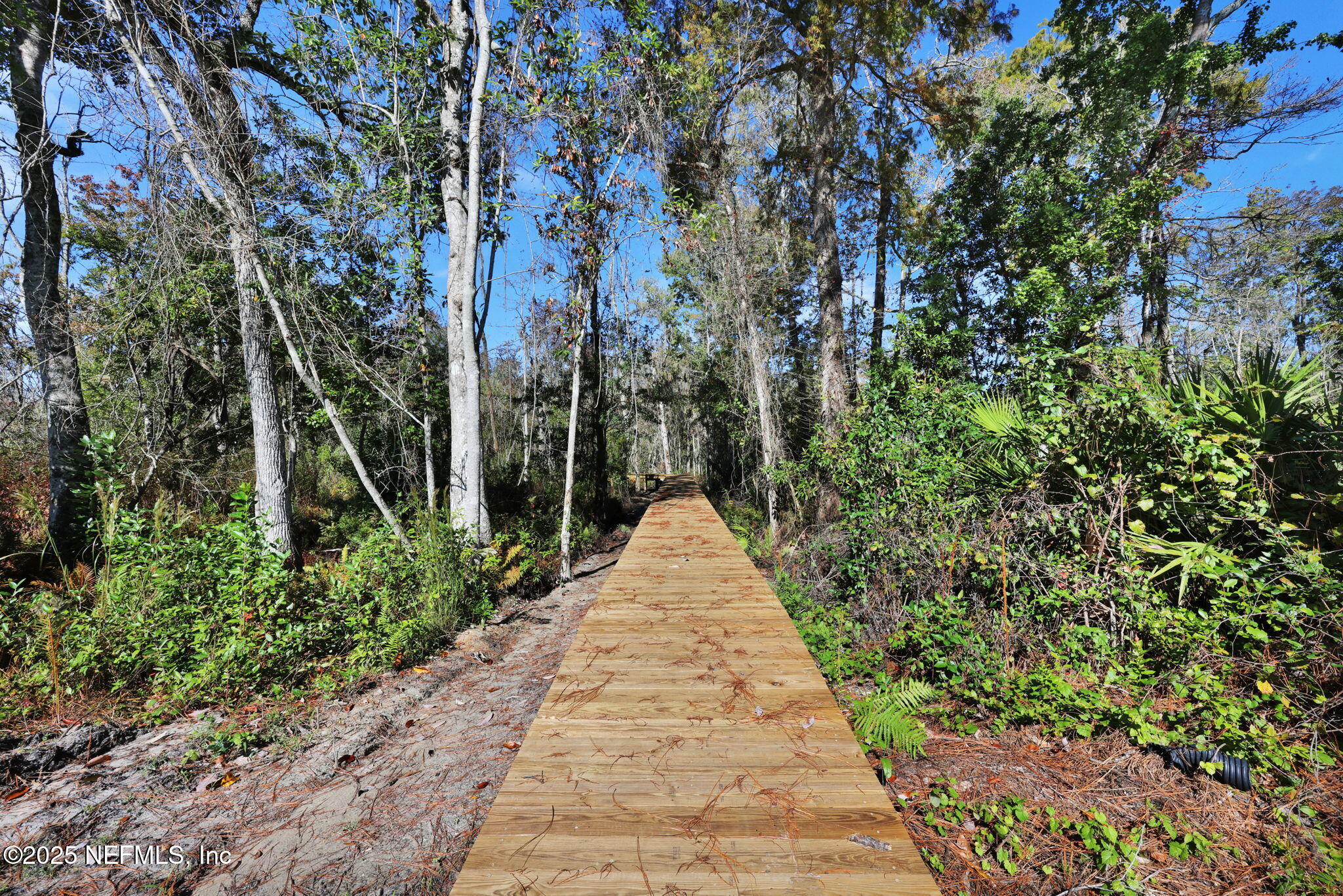 1289 CUNNINGHAM CREEK Drive