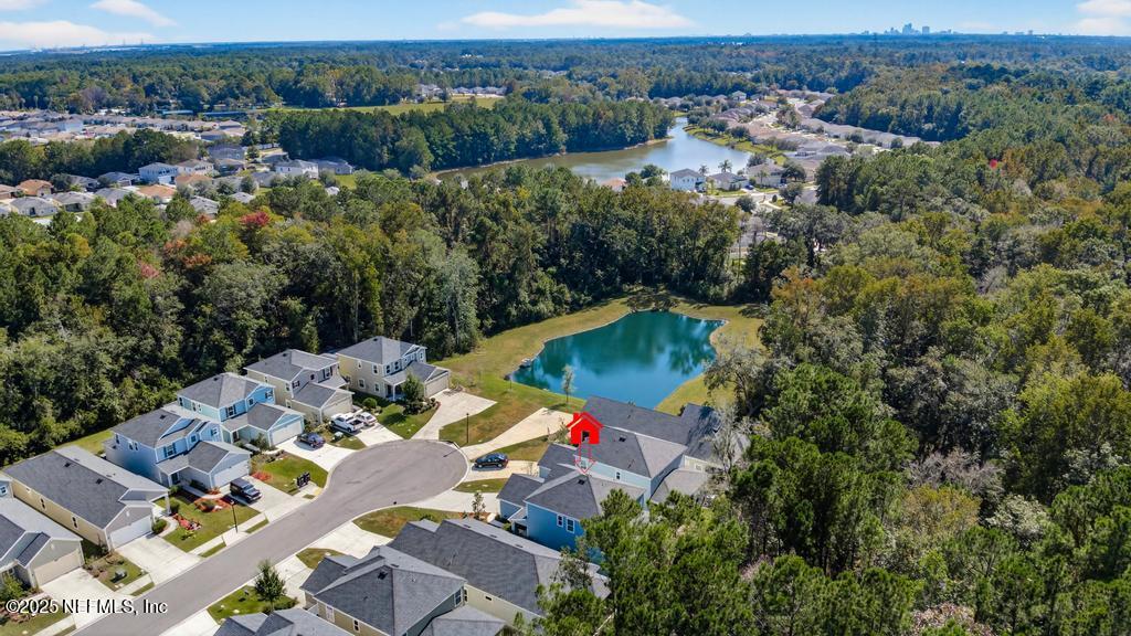 12156 BLOCKHOUSE CREEK Court