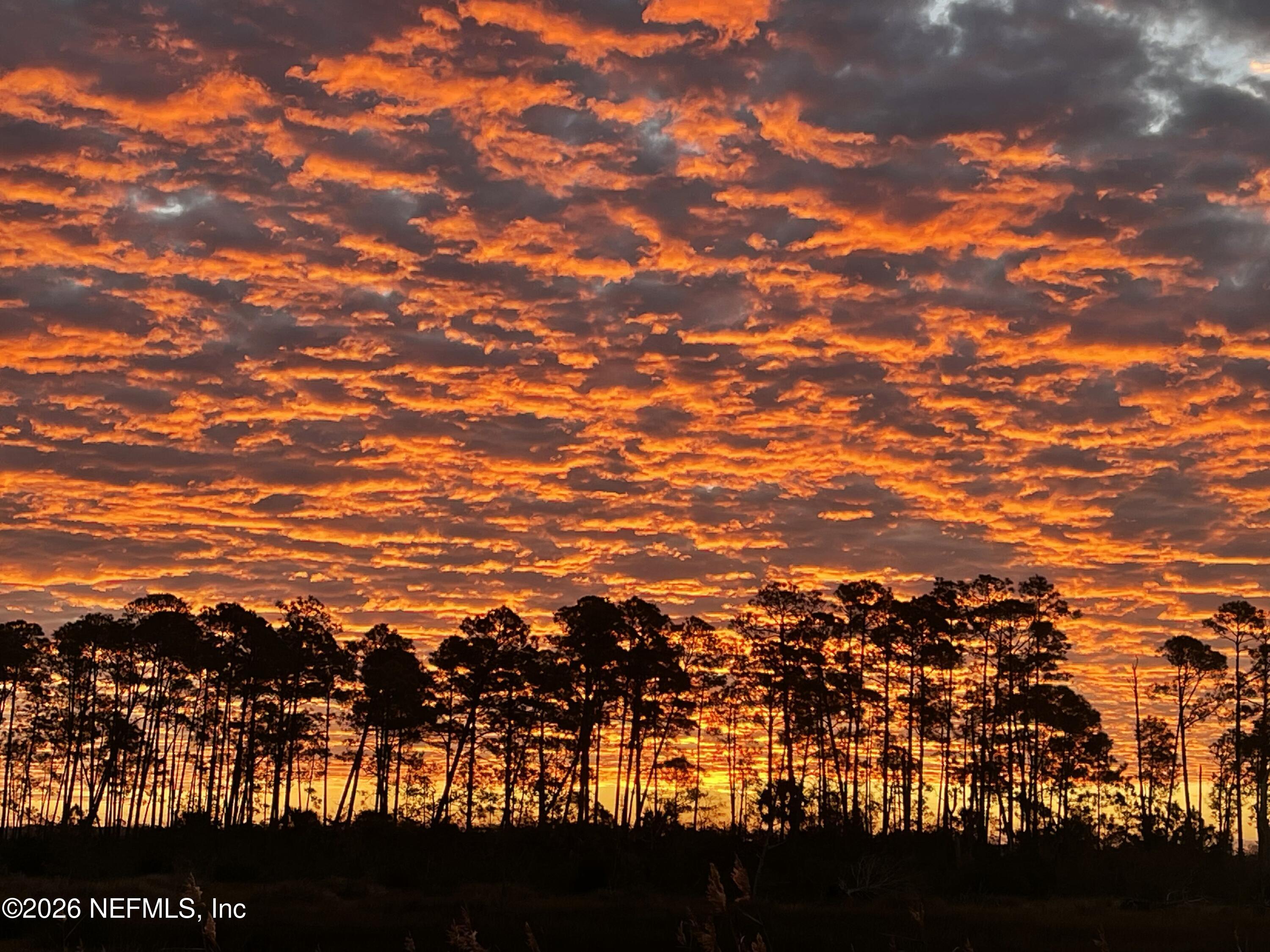 13846 ATLANTIC Boulevard, 806