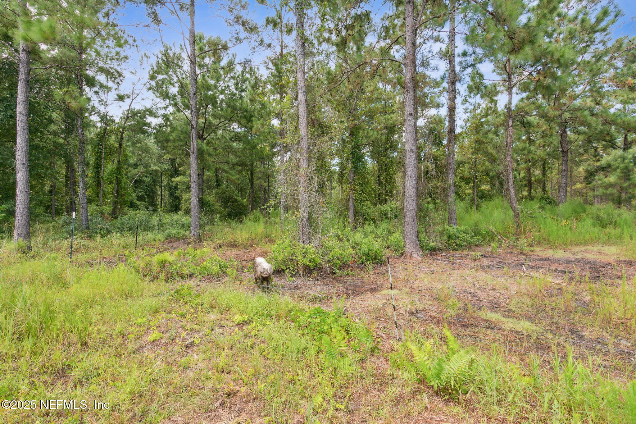 47333 TURKEY TOWN Lane