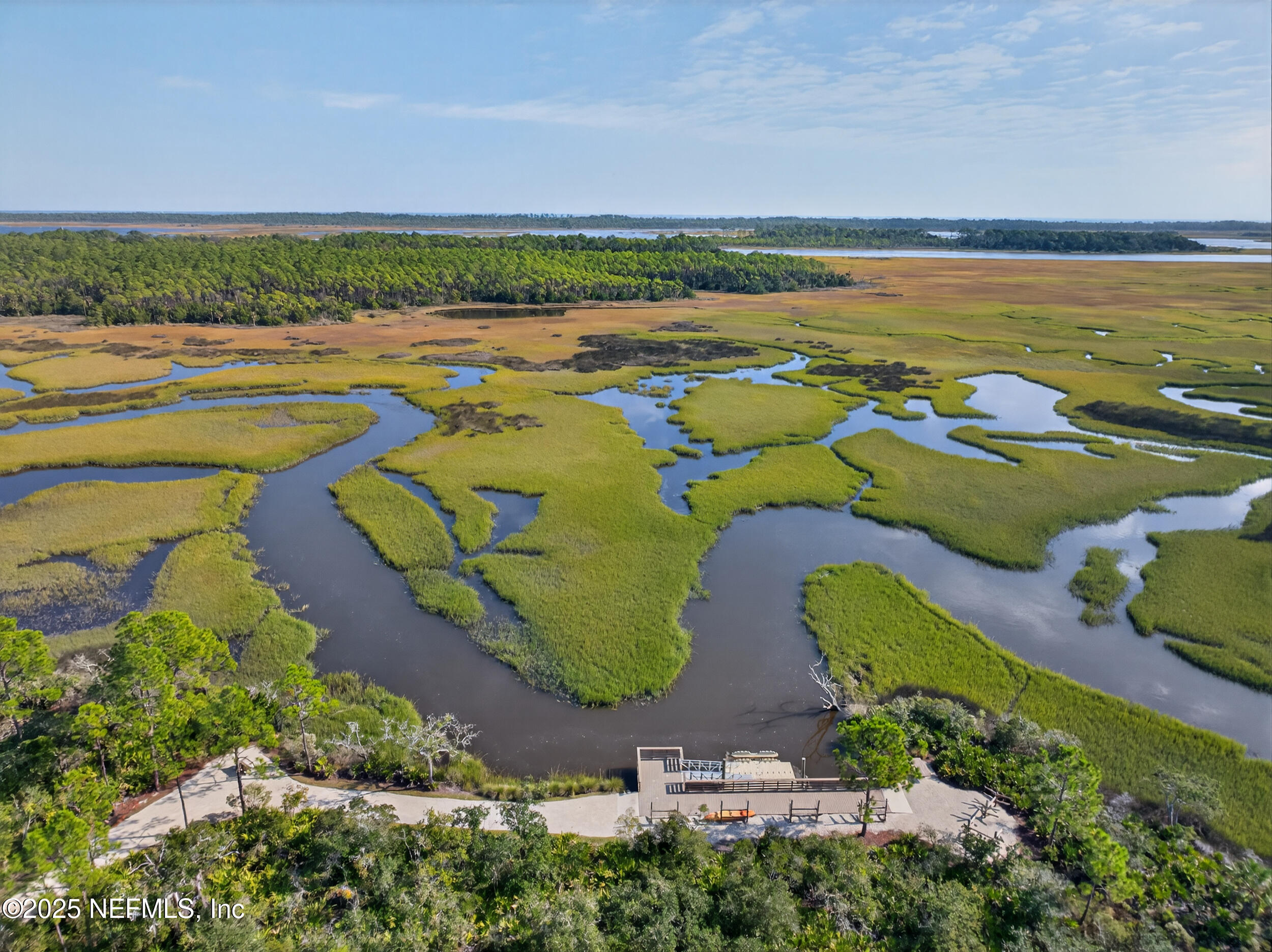 31 TIMBER LIGHT Trail