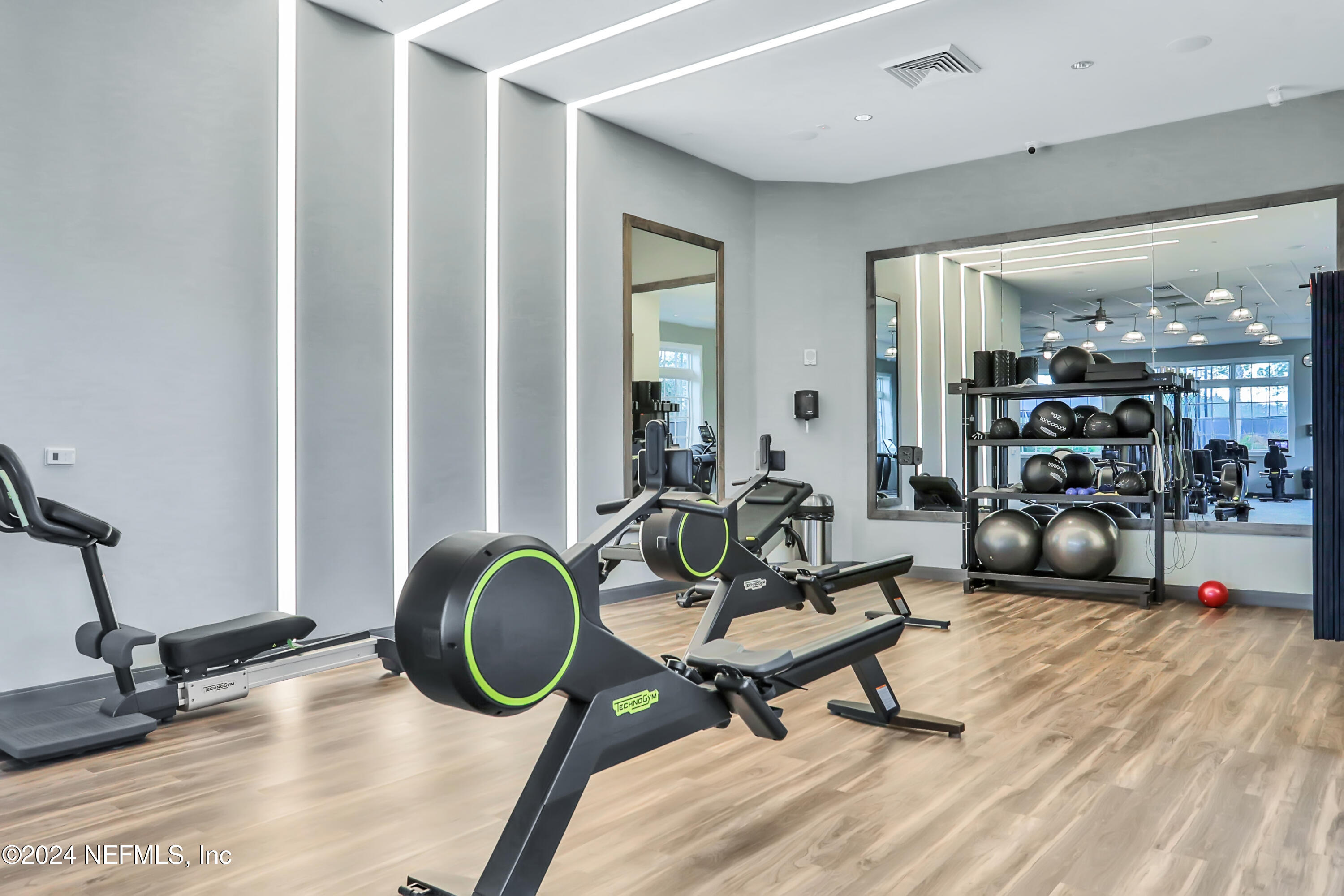 31 TIMBER LIGHT Trail