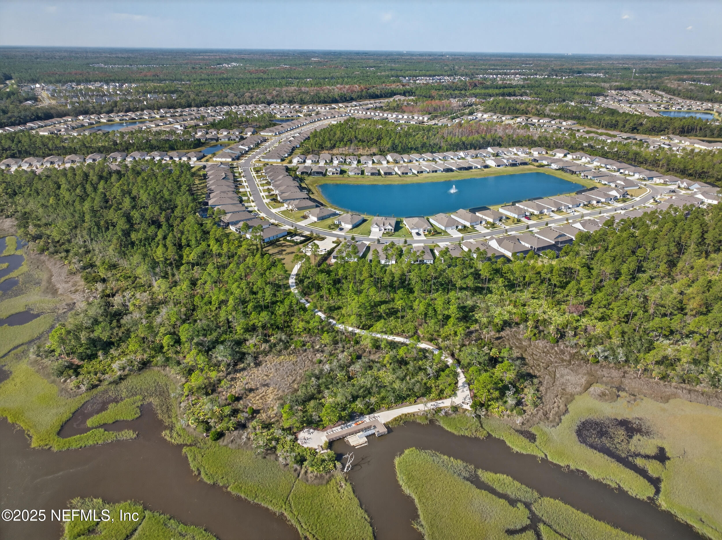 31 TIMBER LIGHT Trail