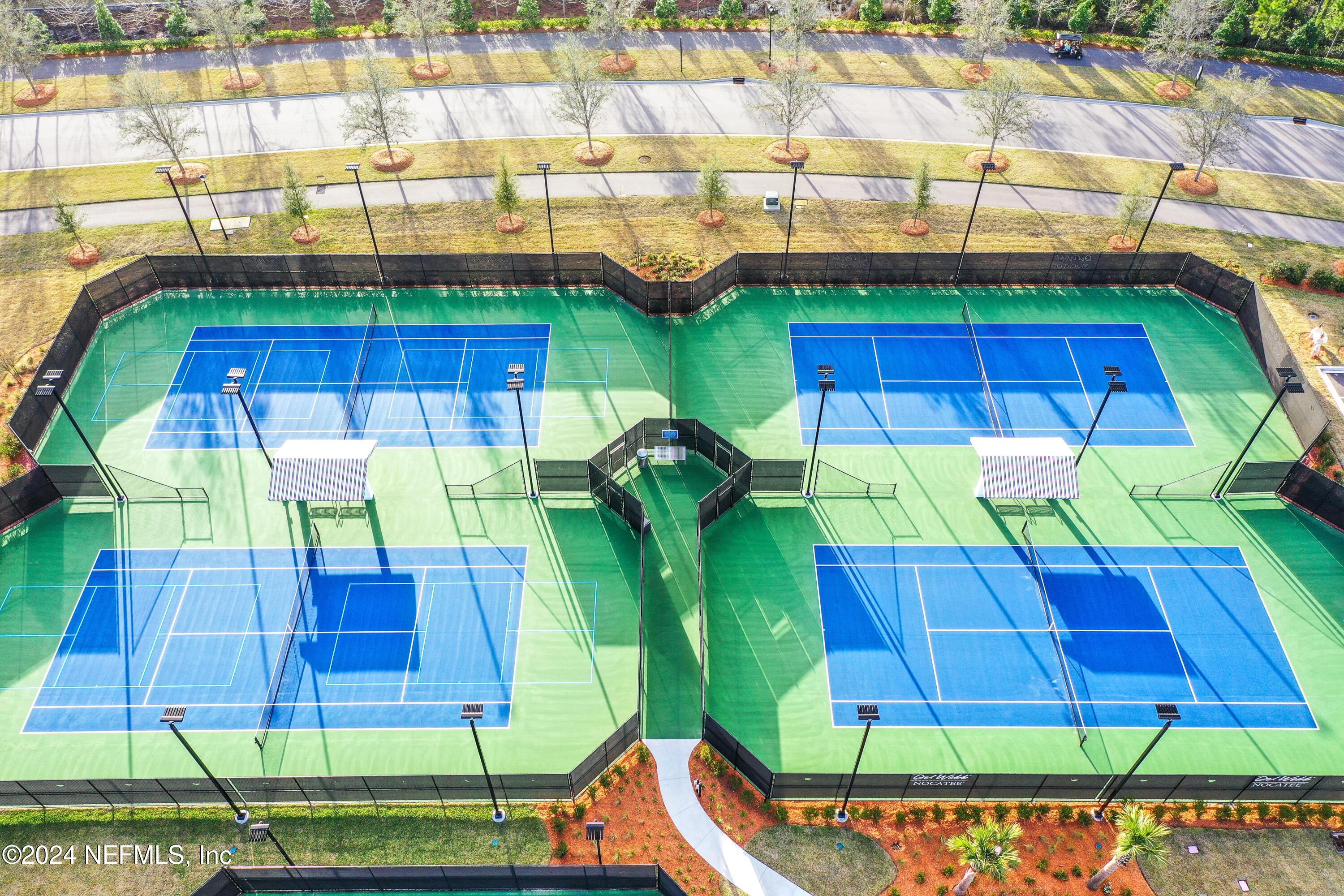 31 TIMBER LIGHT Trail