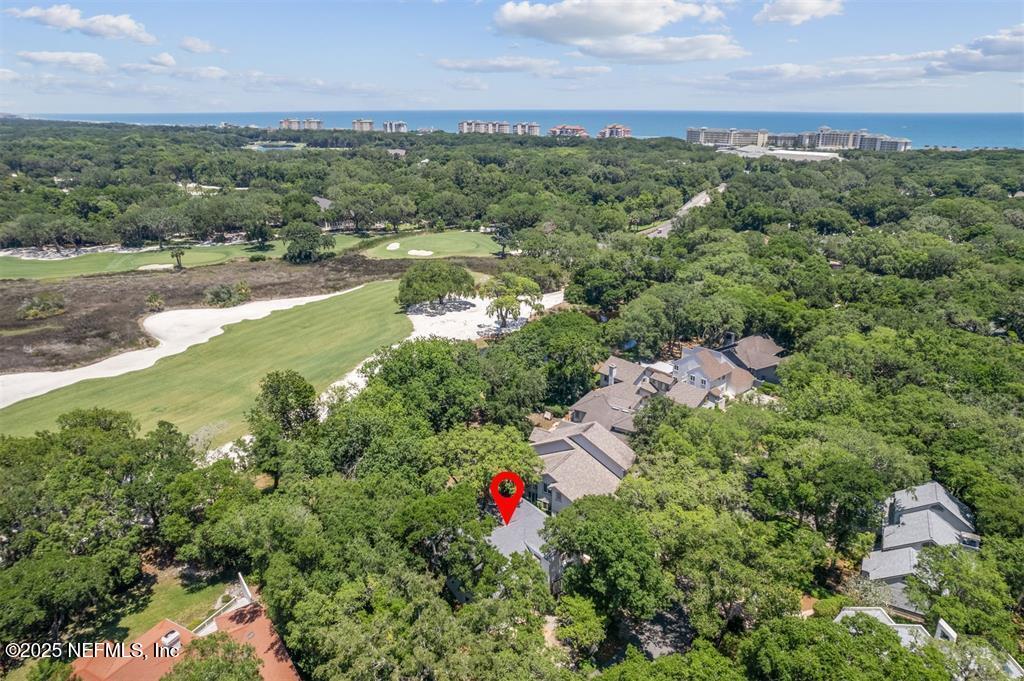 22 BELTED KINGFISHER Road