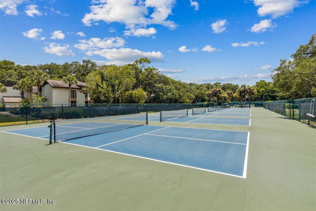 22 BELTED KINGFISHER Road