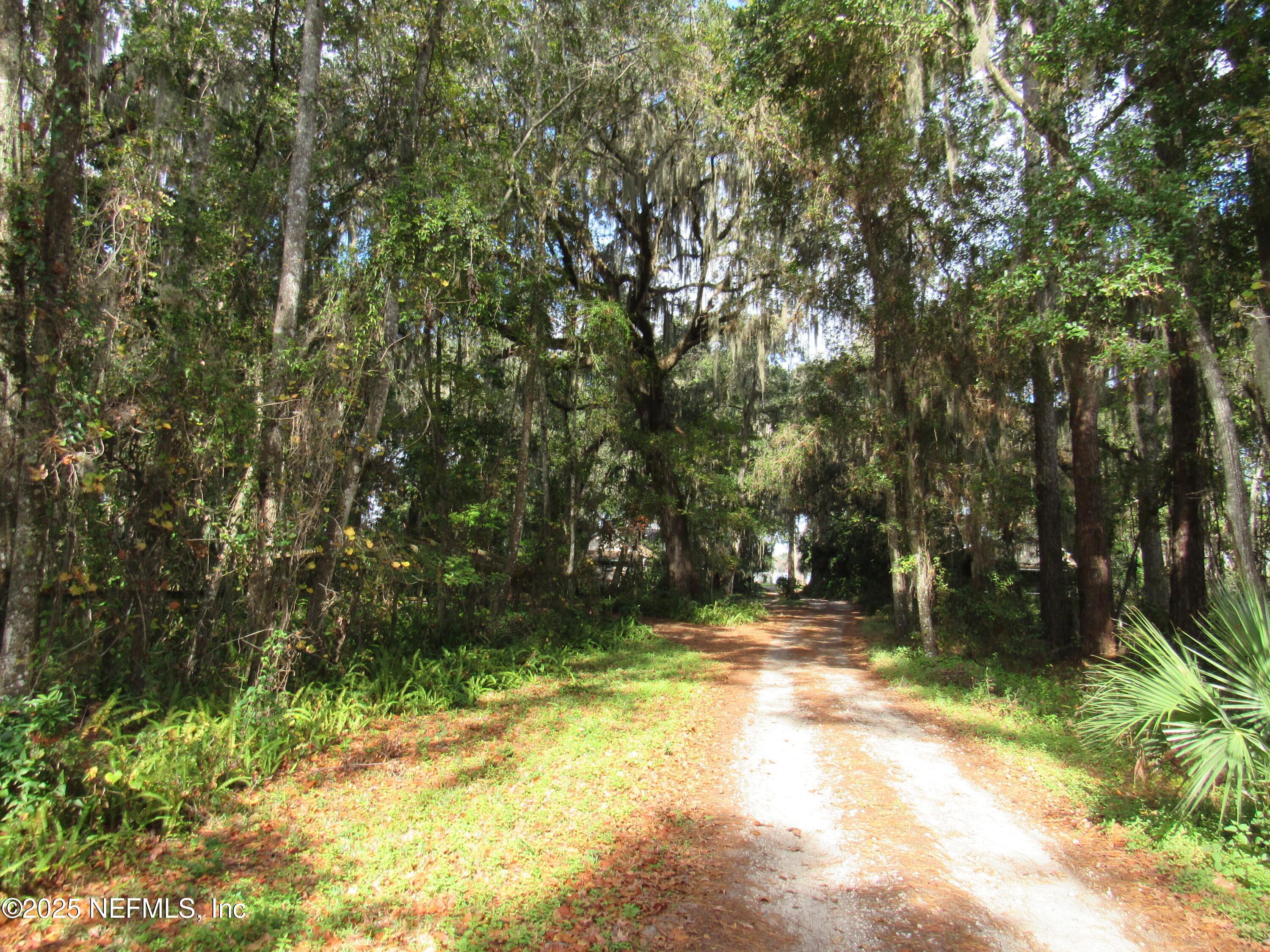 1273 FRUIT COVE Road N