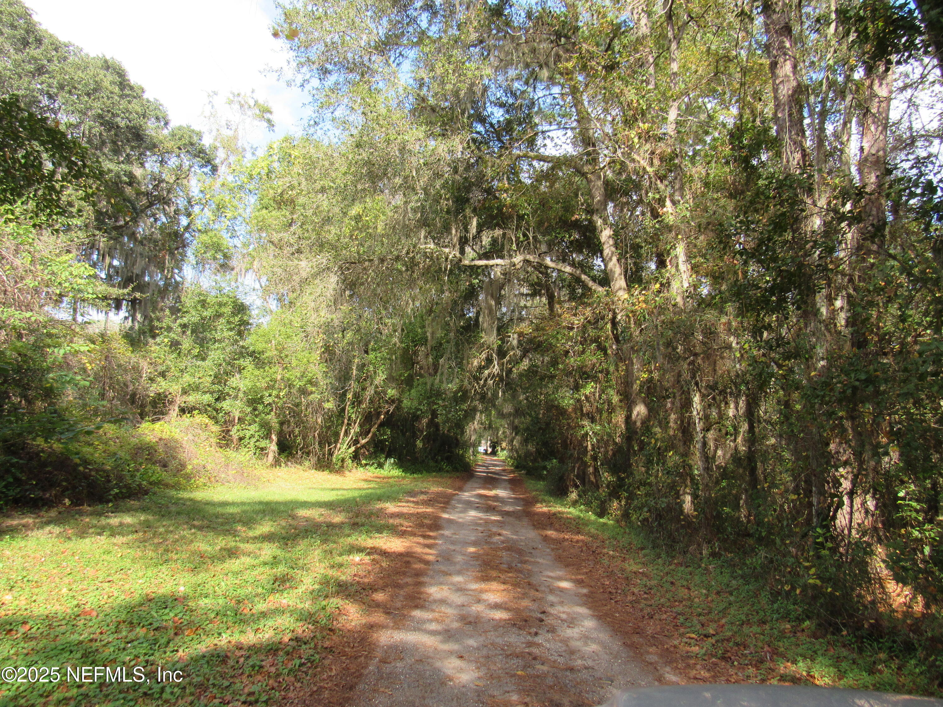 1273 FRUIT COVE Road N