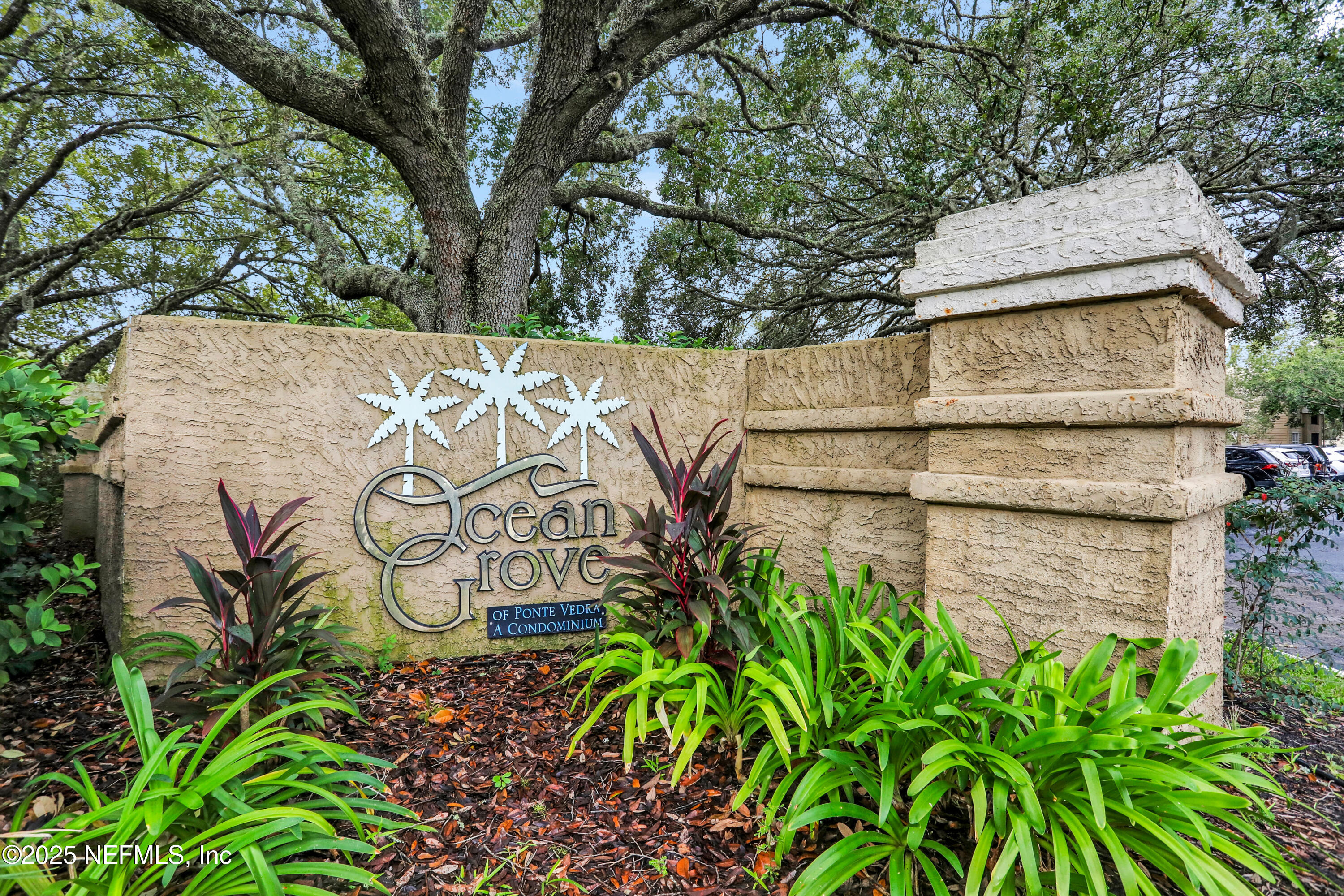 7 ARBOR CLUB Drive 317