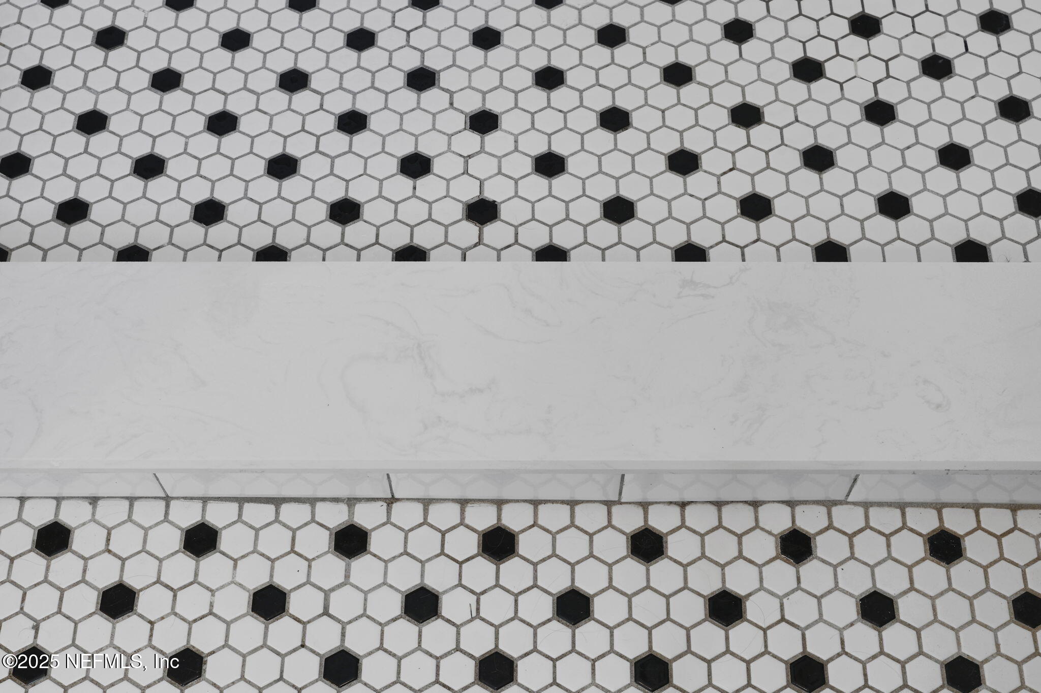 58 DOLPHIN Boulevard E