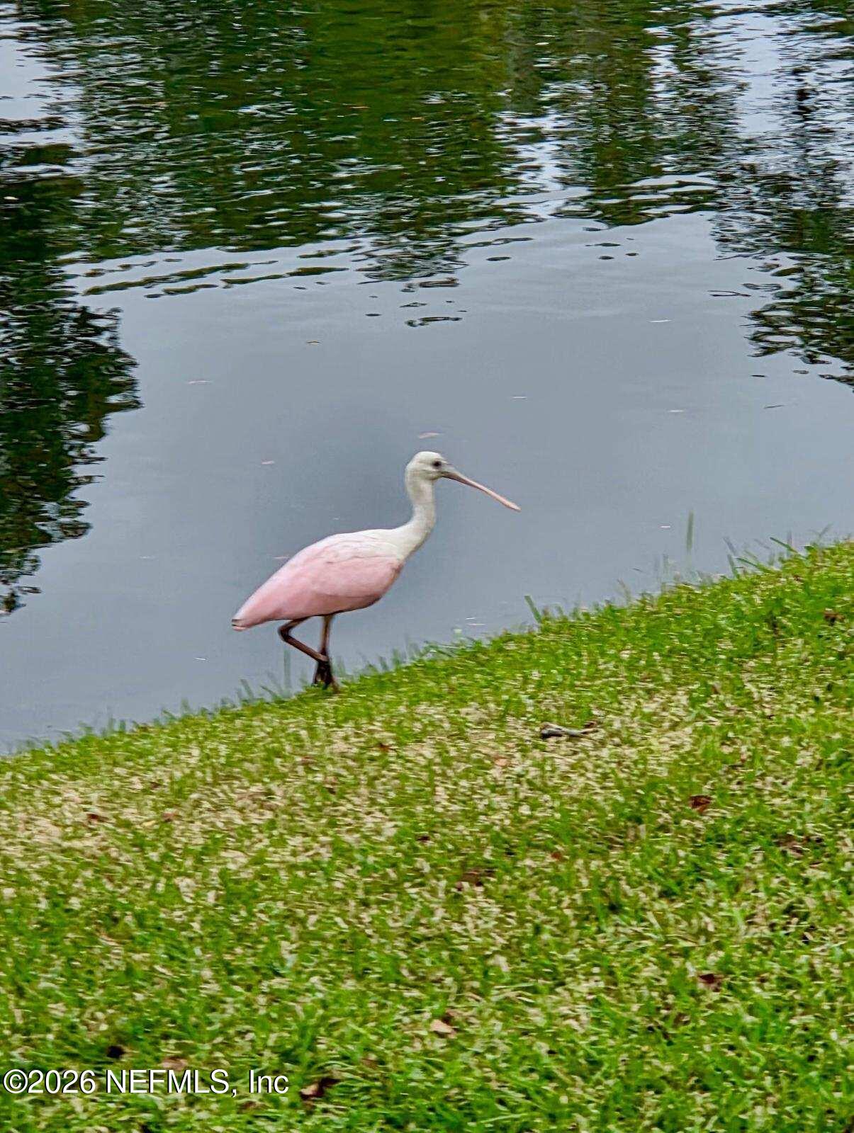 14407 PELICAN BAY Court