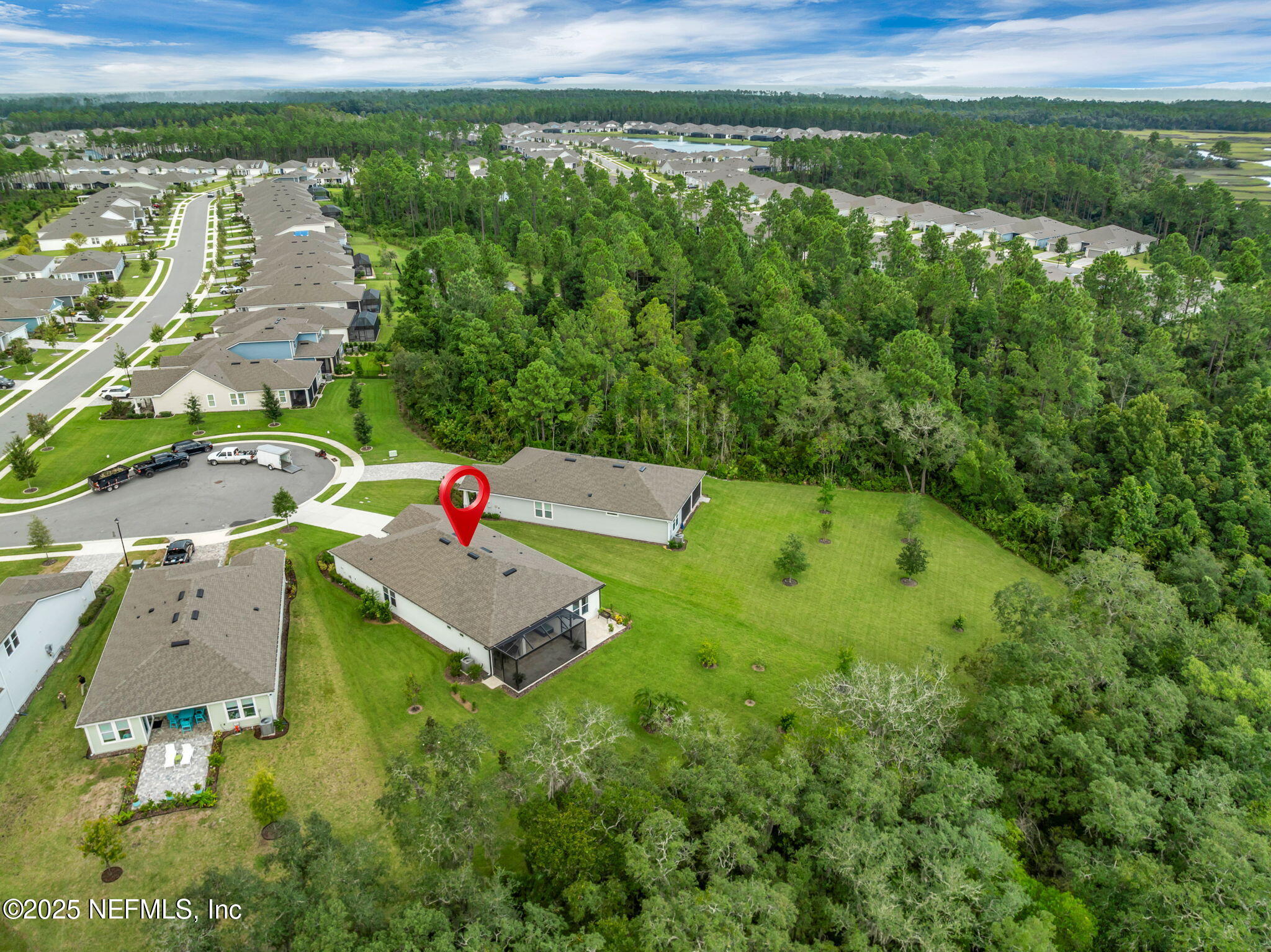 576 TIMBER LIGHT Trail