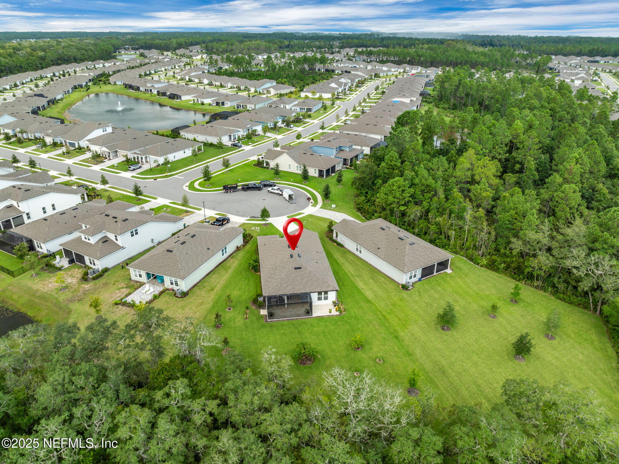 576 TIMBER LIGHT Trail