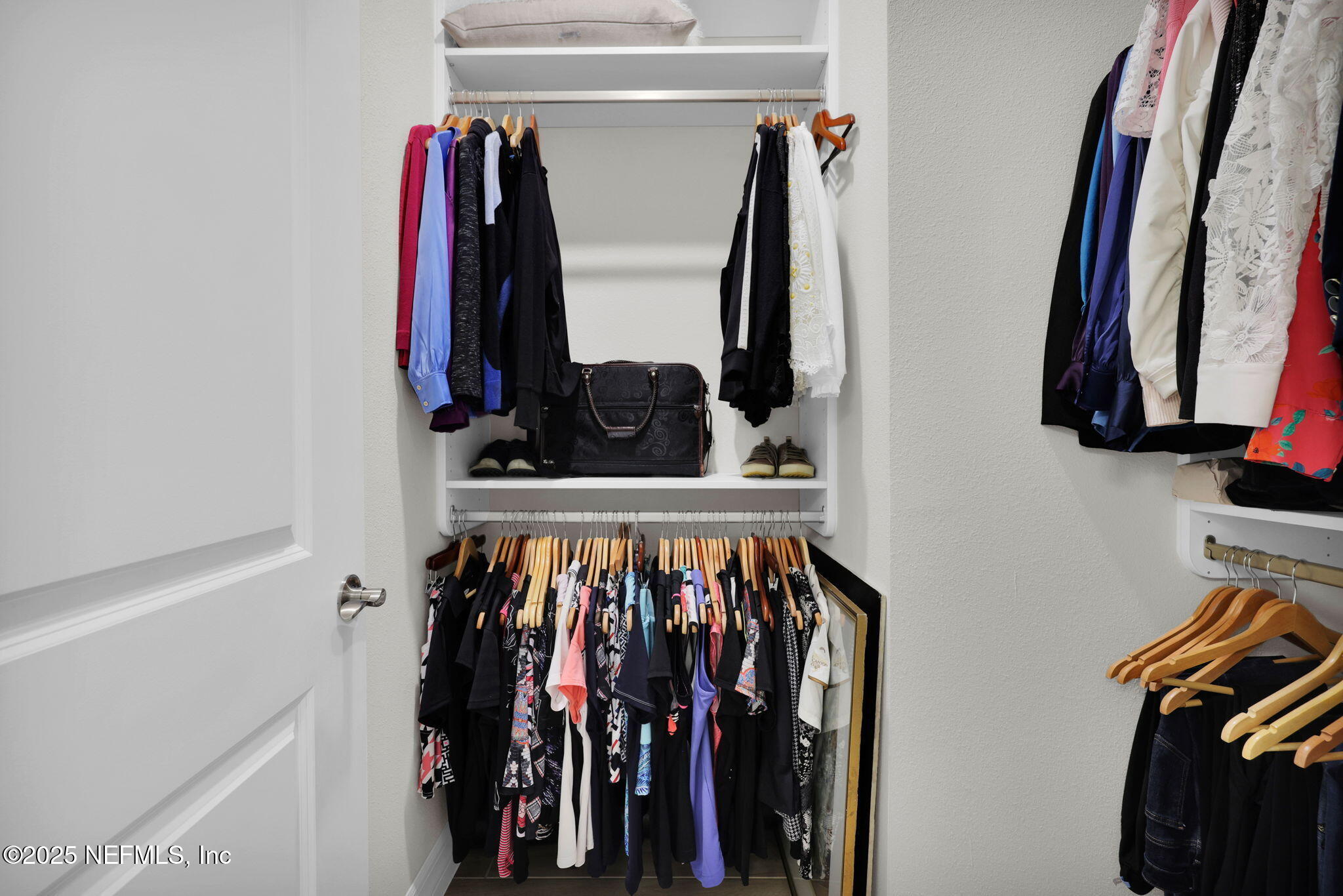 576 TIMBER LIGHT Trail