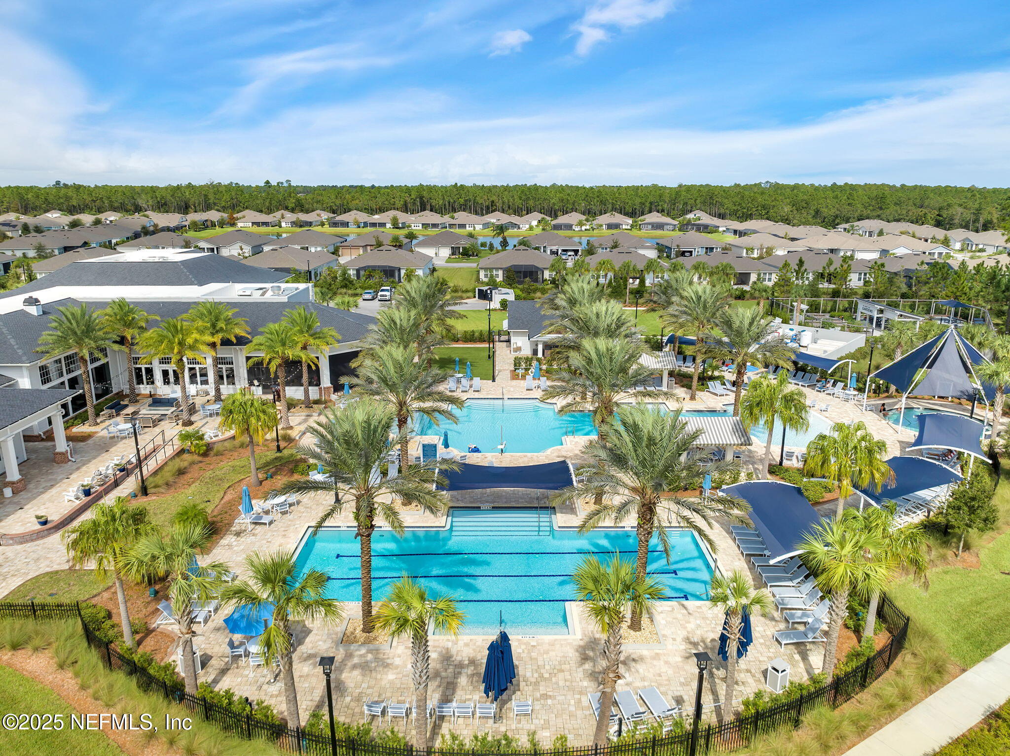 576 TIMBER LIGHT Trail