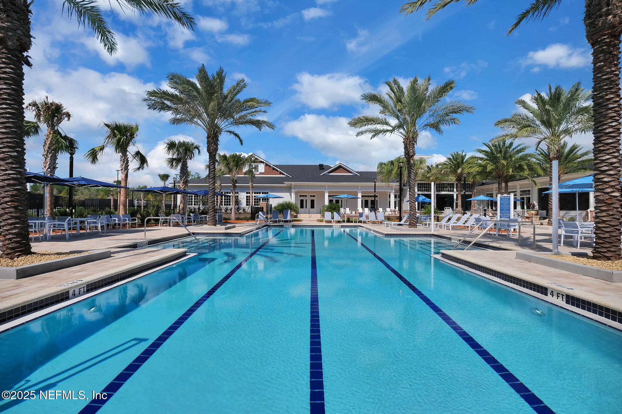 576 TIMBER LIGHT Trail