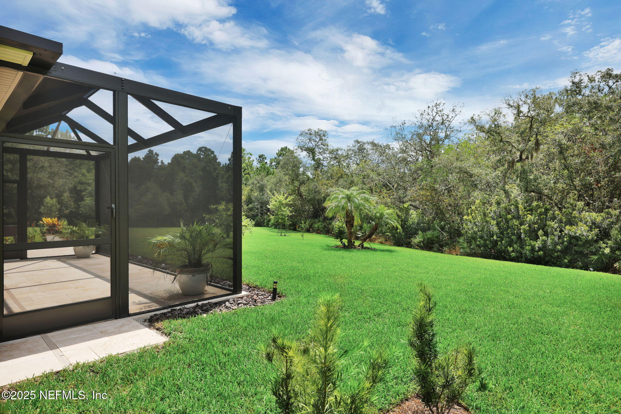 576 TIMBER LIGHT Trail