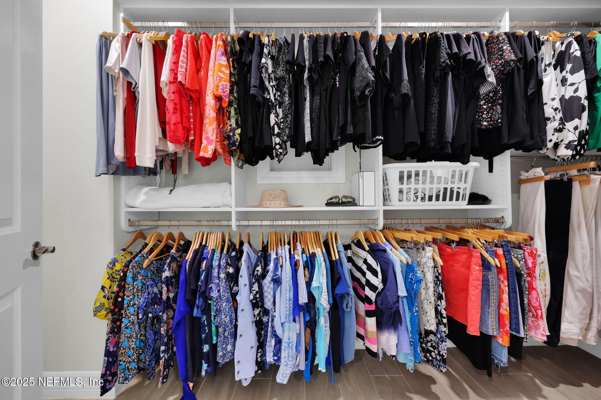 576 TIMBER LIGHT Trail