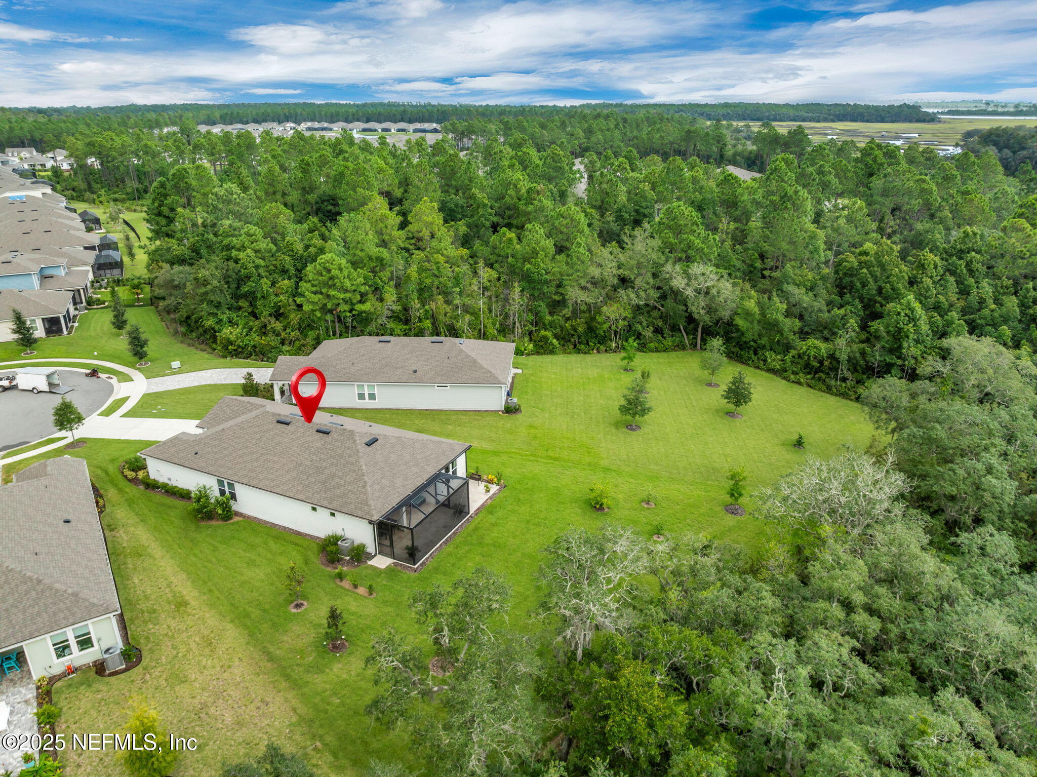 576 TIMBER LIGHT Trail