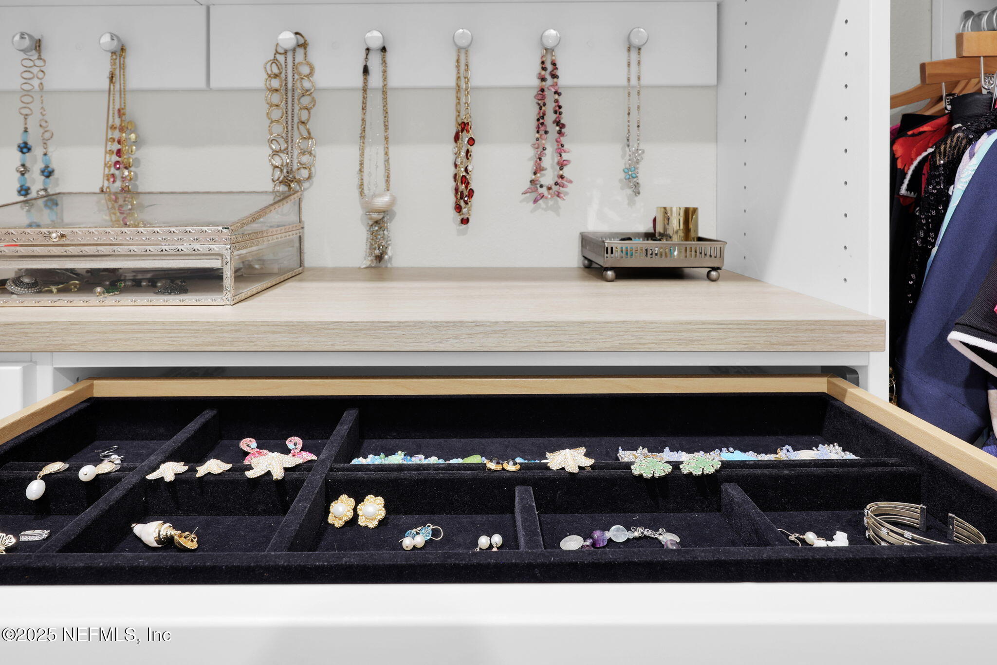 576 TIMBER LIGHT Trail