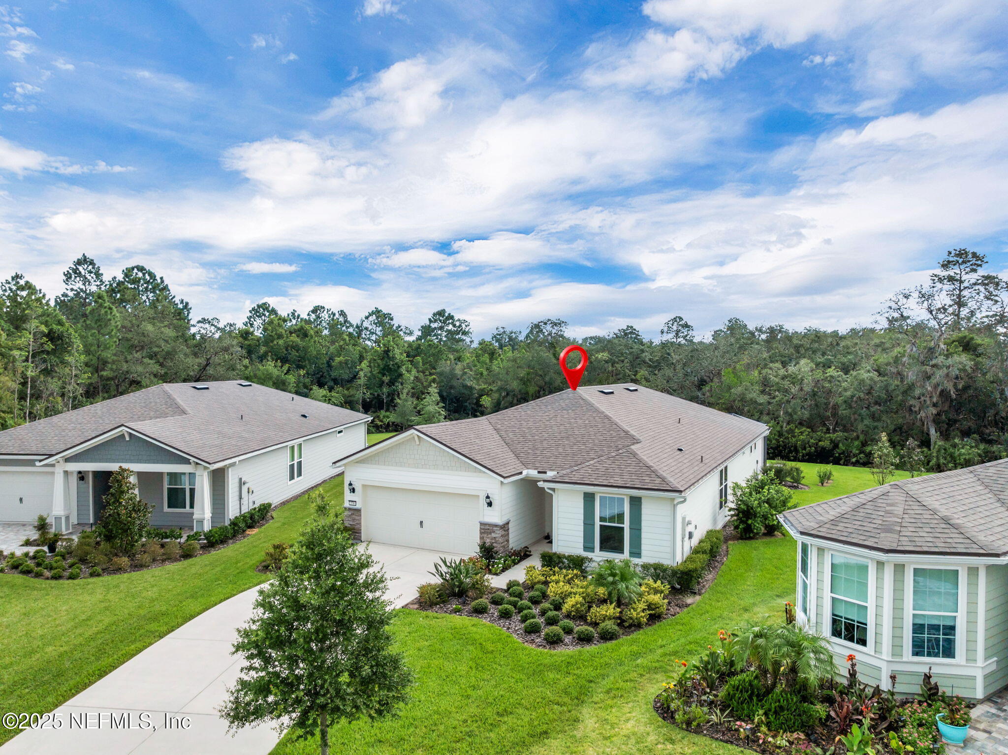 576 TIMBER LIGHT Trail