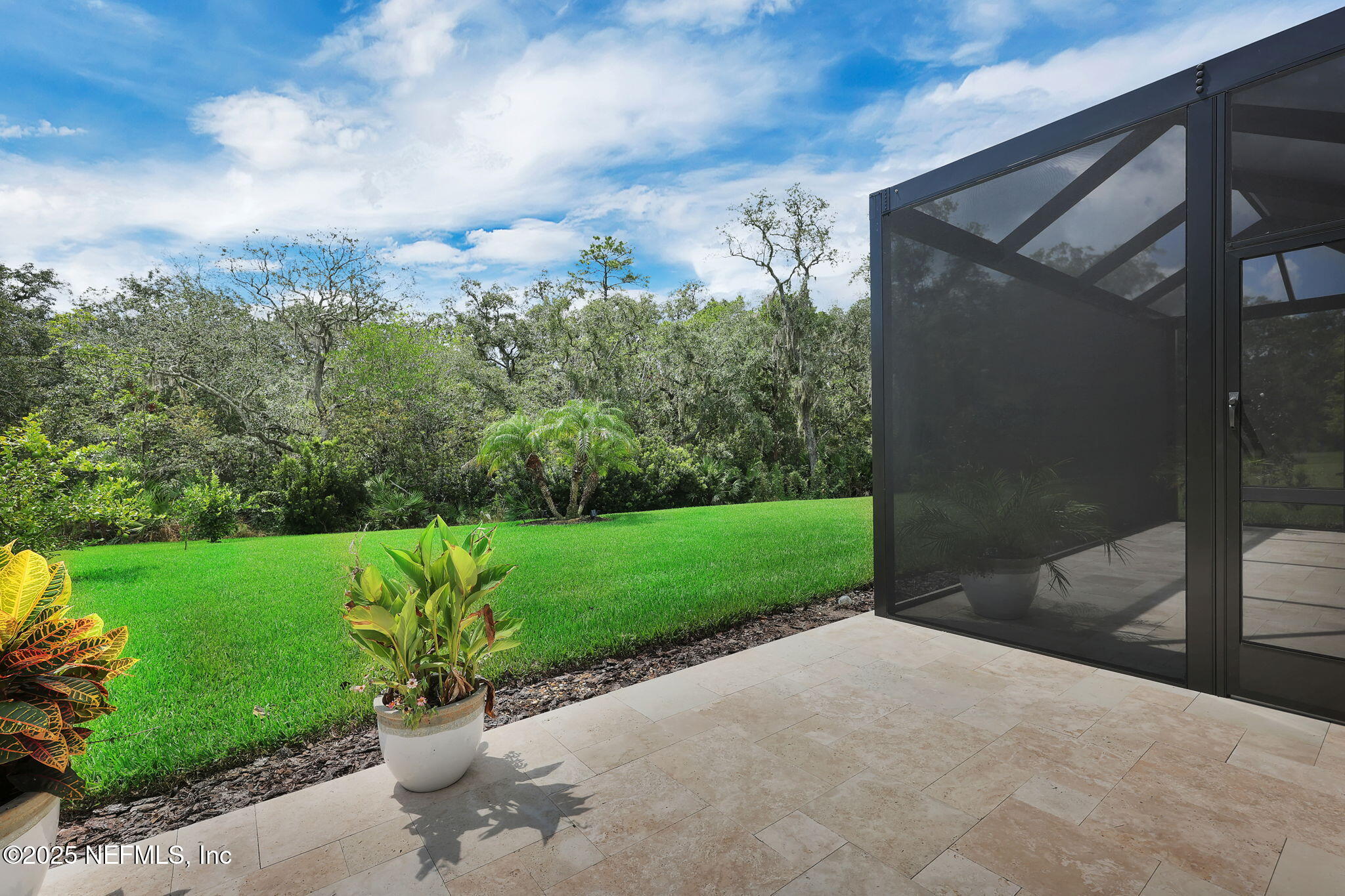 576 TIMBER LIGHT Trail