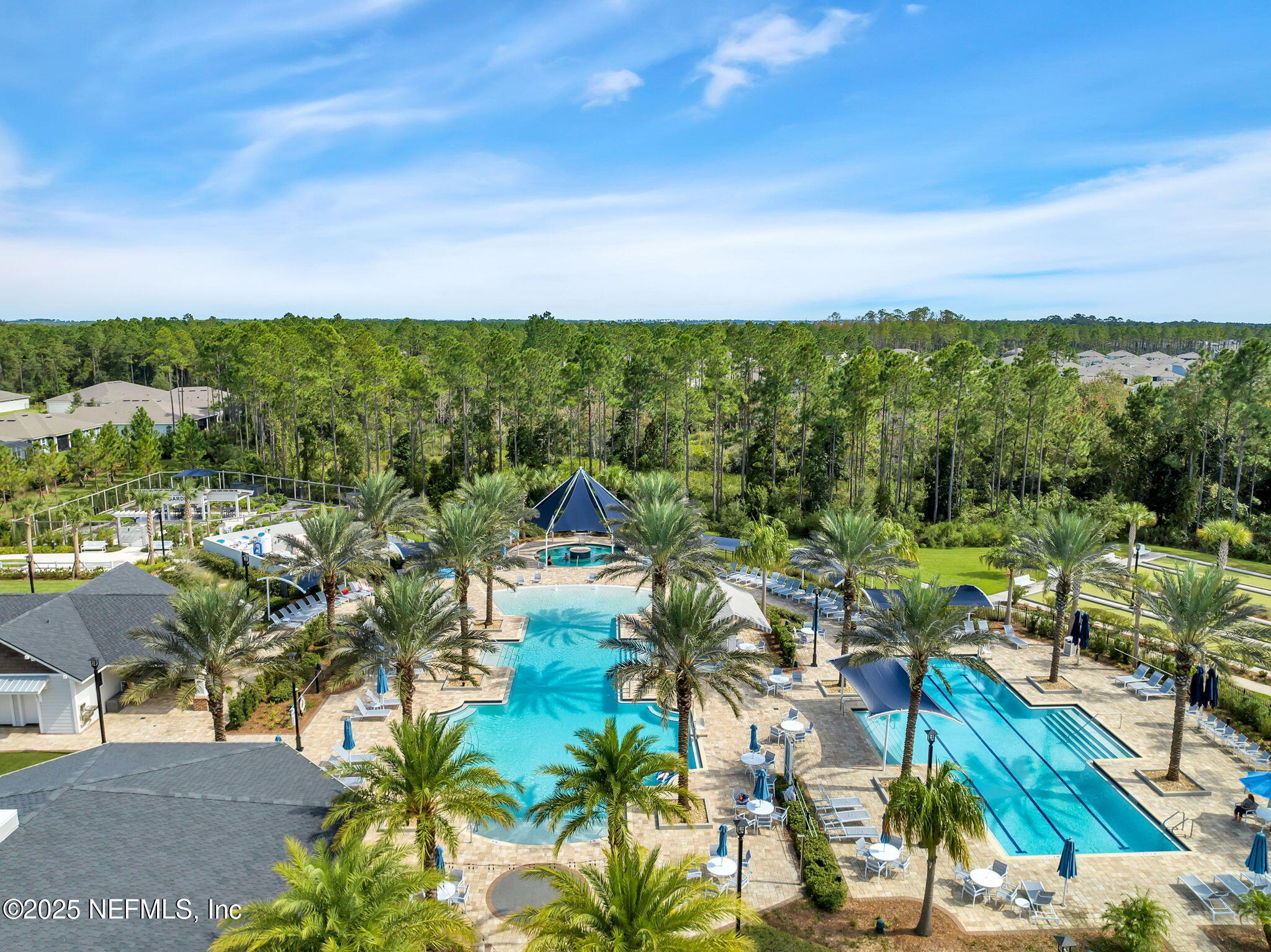 576 TIMBER LIGHT Trail