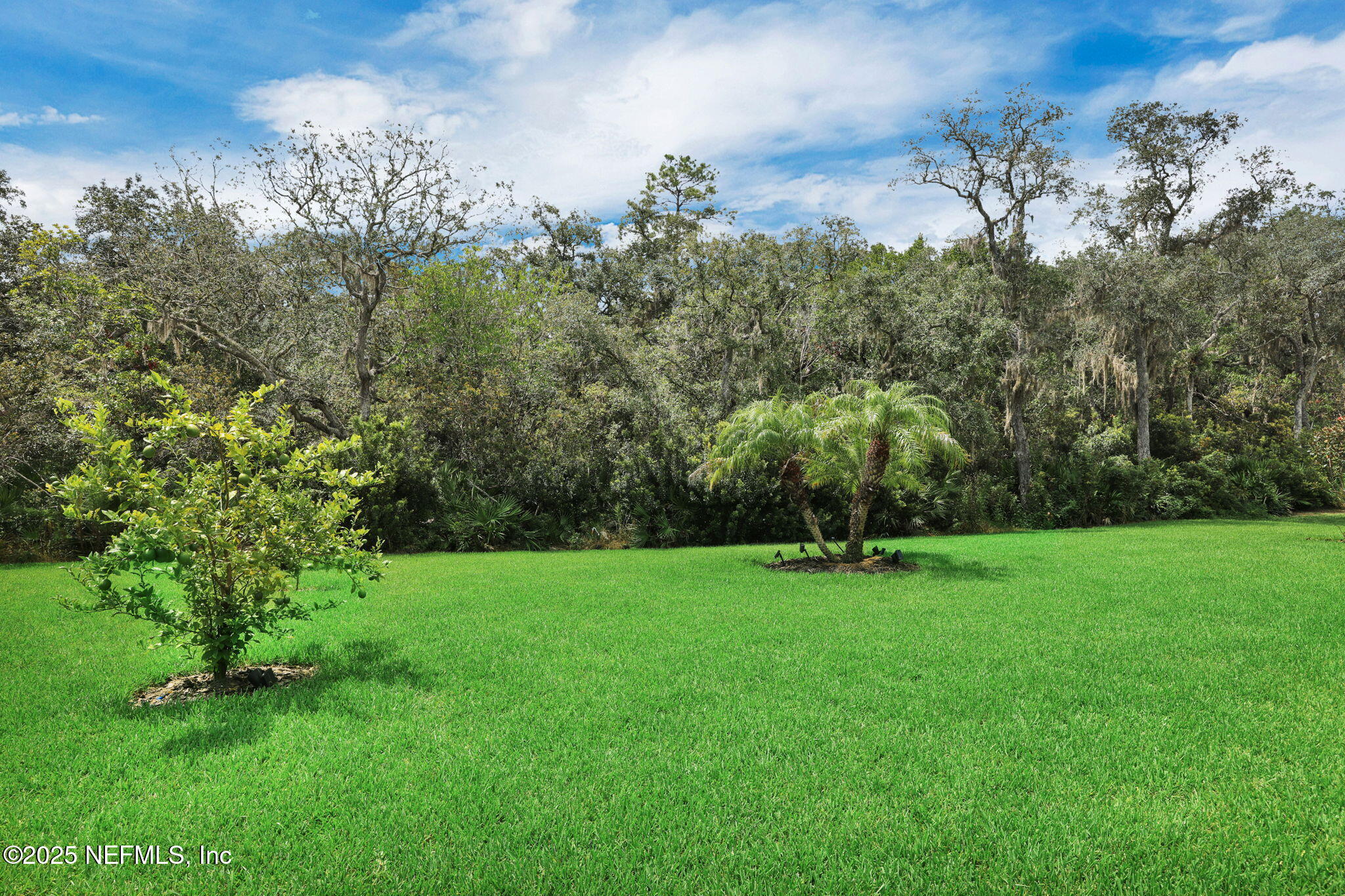 576 TIMBER LIGHT Trail