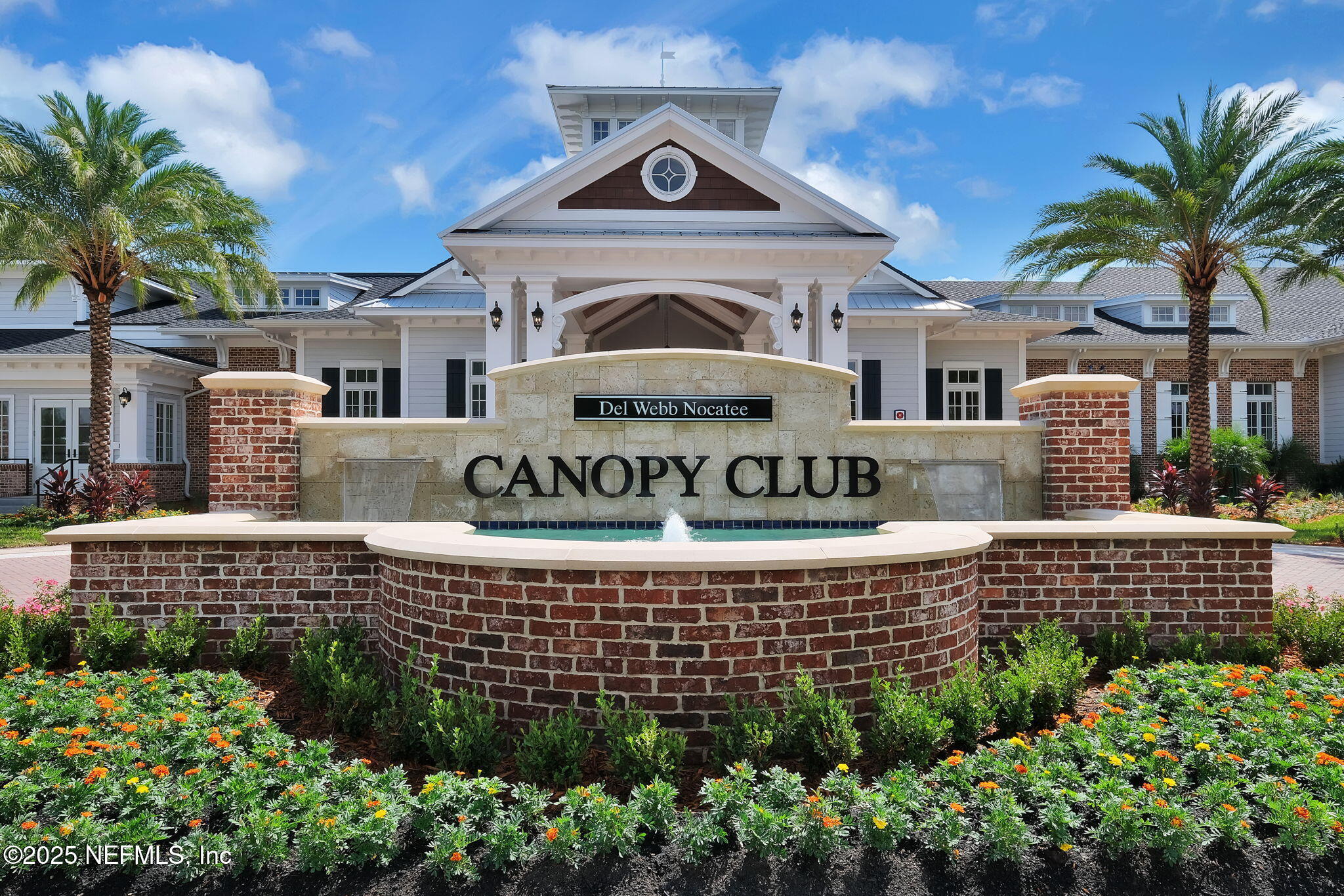 576 TIMBER LIGHT Trail