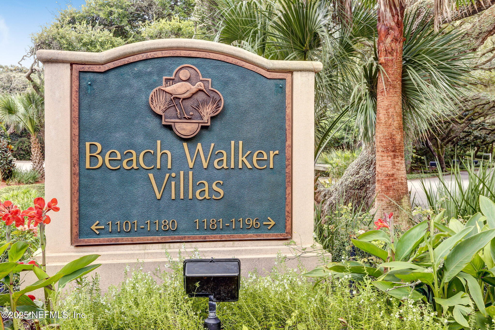 1169 BEACH WALKER Road 1169