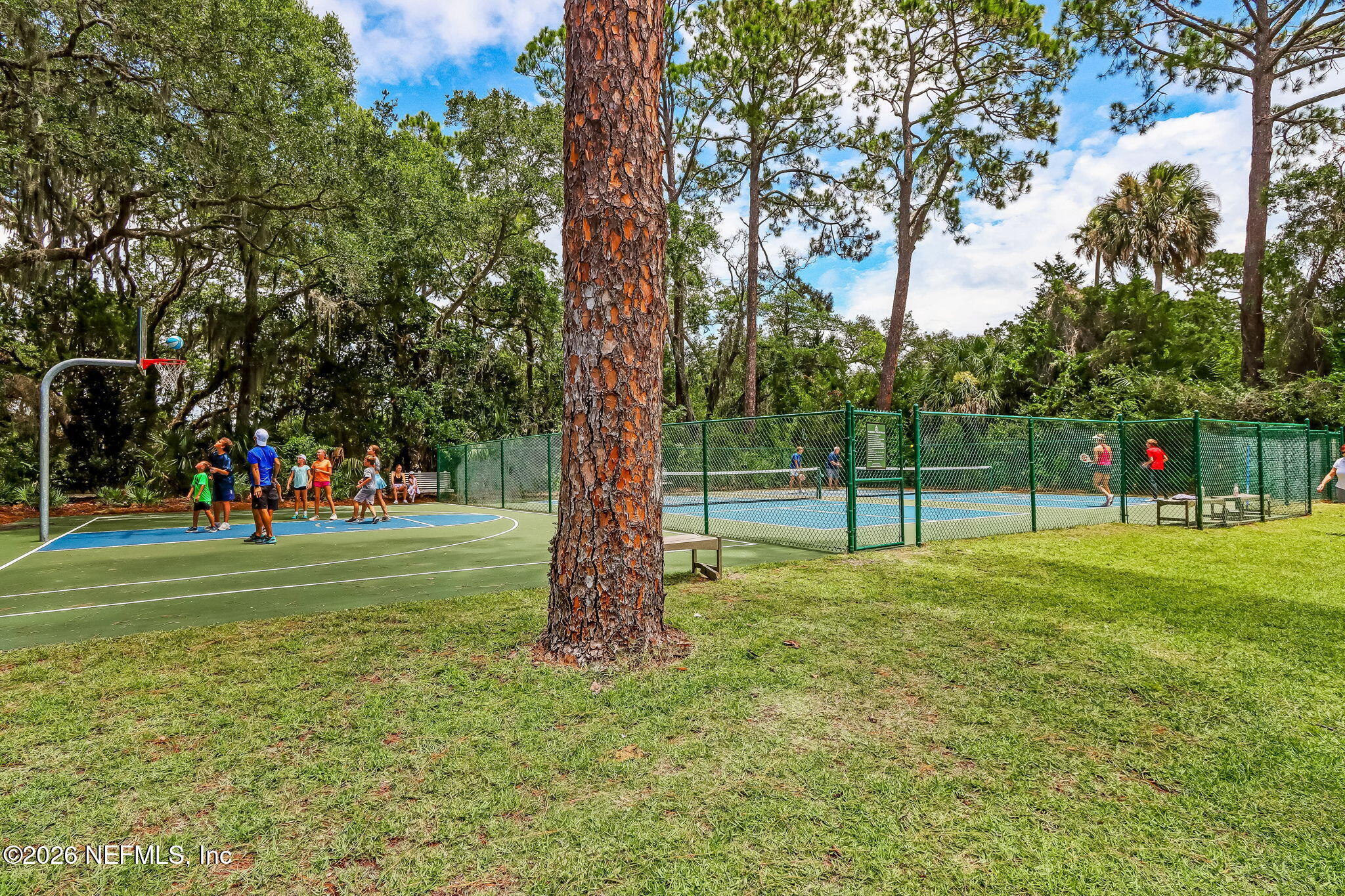4 MOSS OAKS Drive