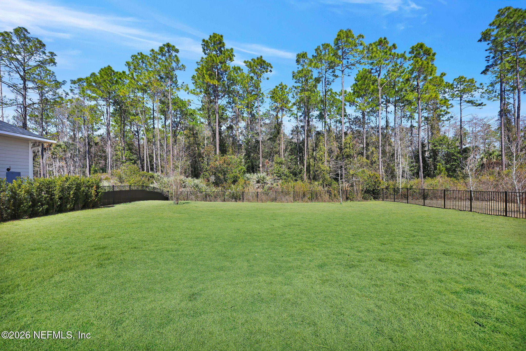 136 WINDMILL PALM Trail