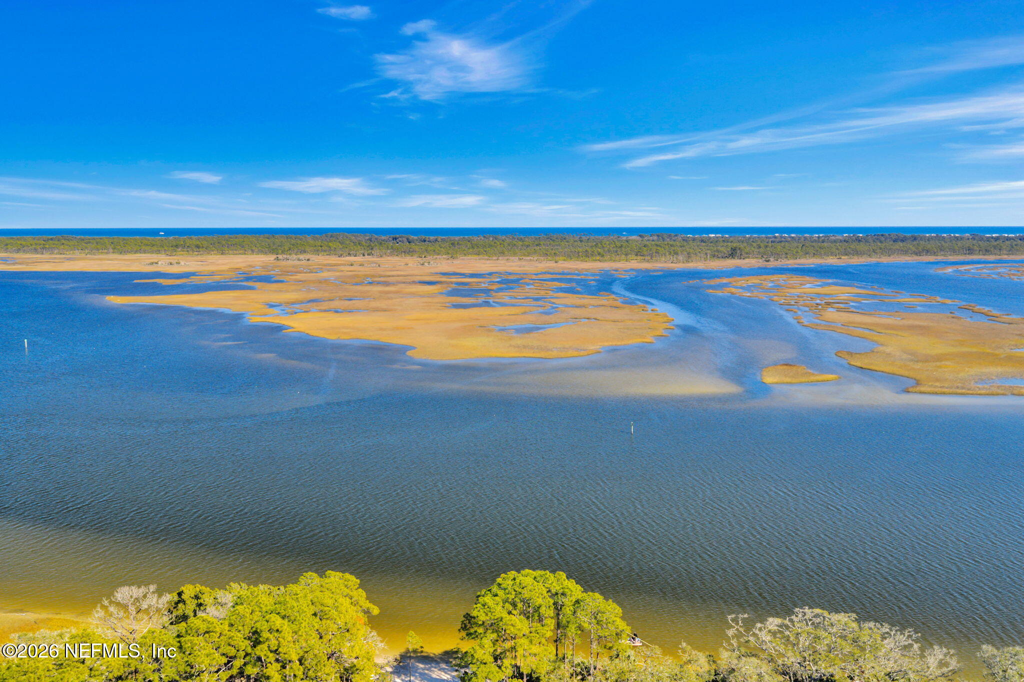 136 WINDMILL PALM Trail