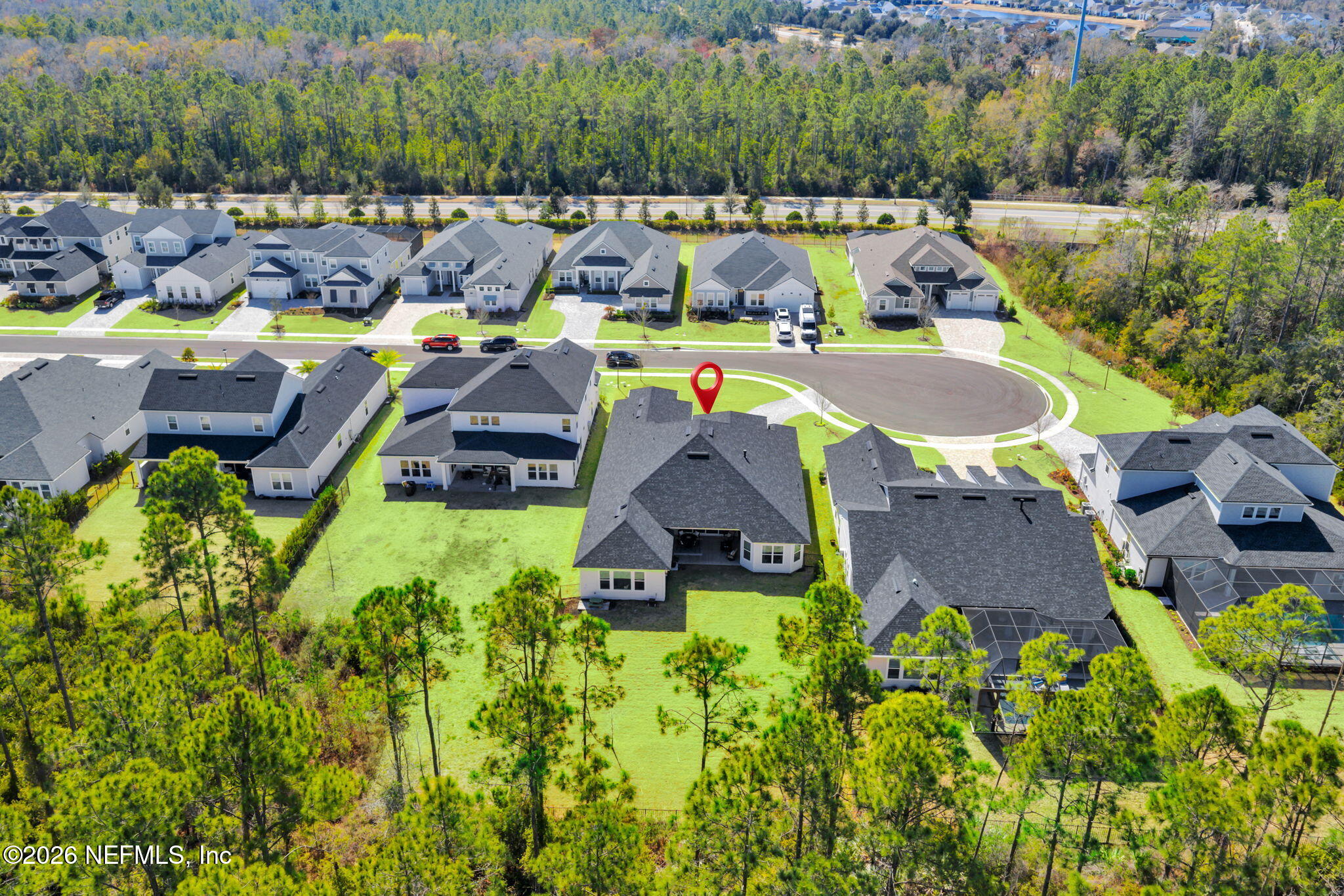 136 WINDMILL PALM Trail