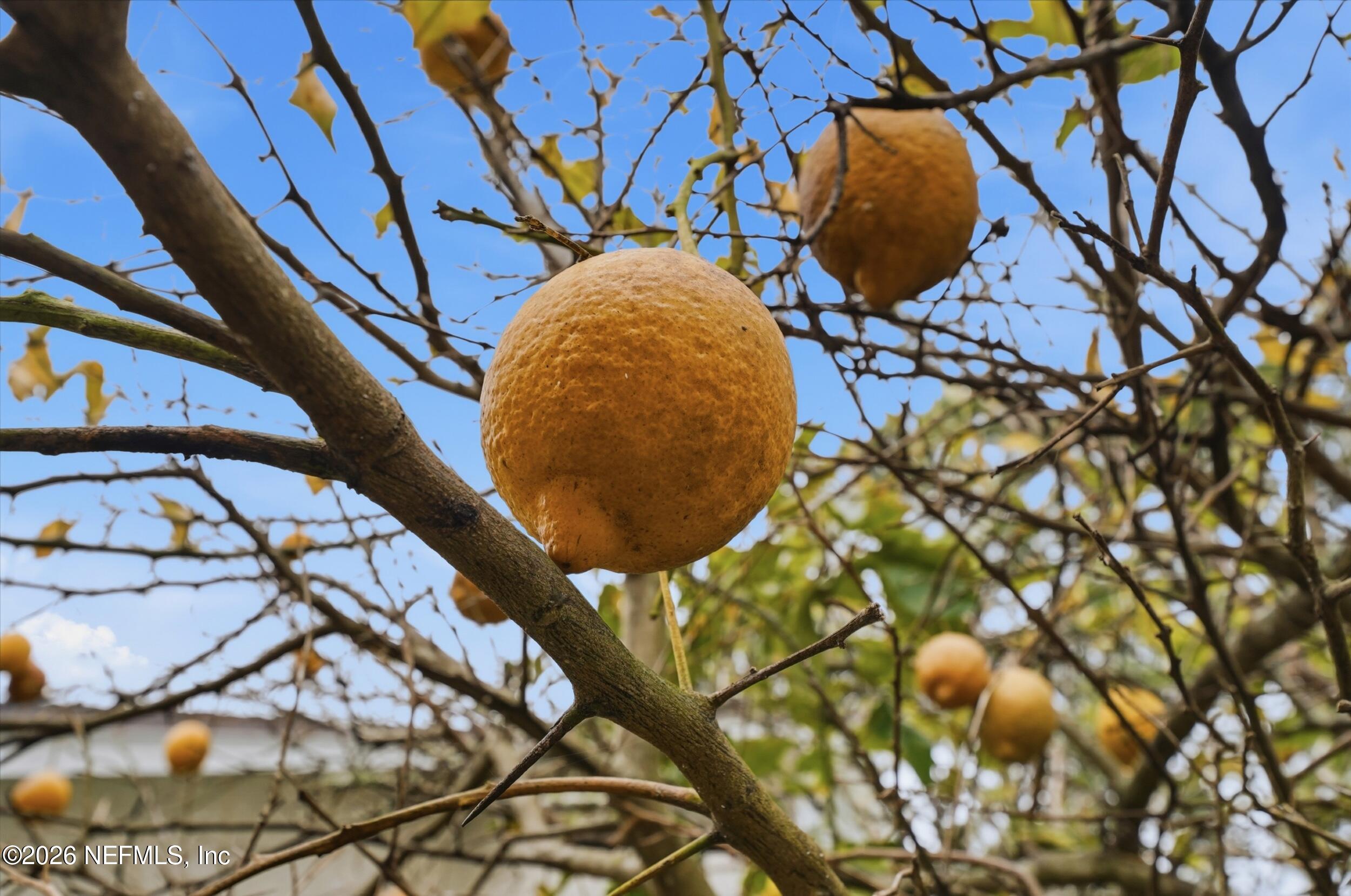 1673 LINKSIDE Court N