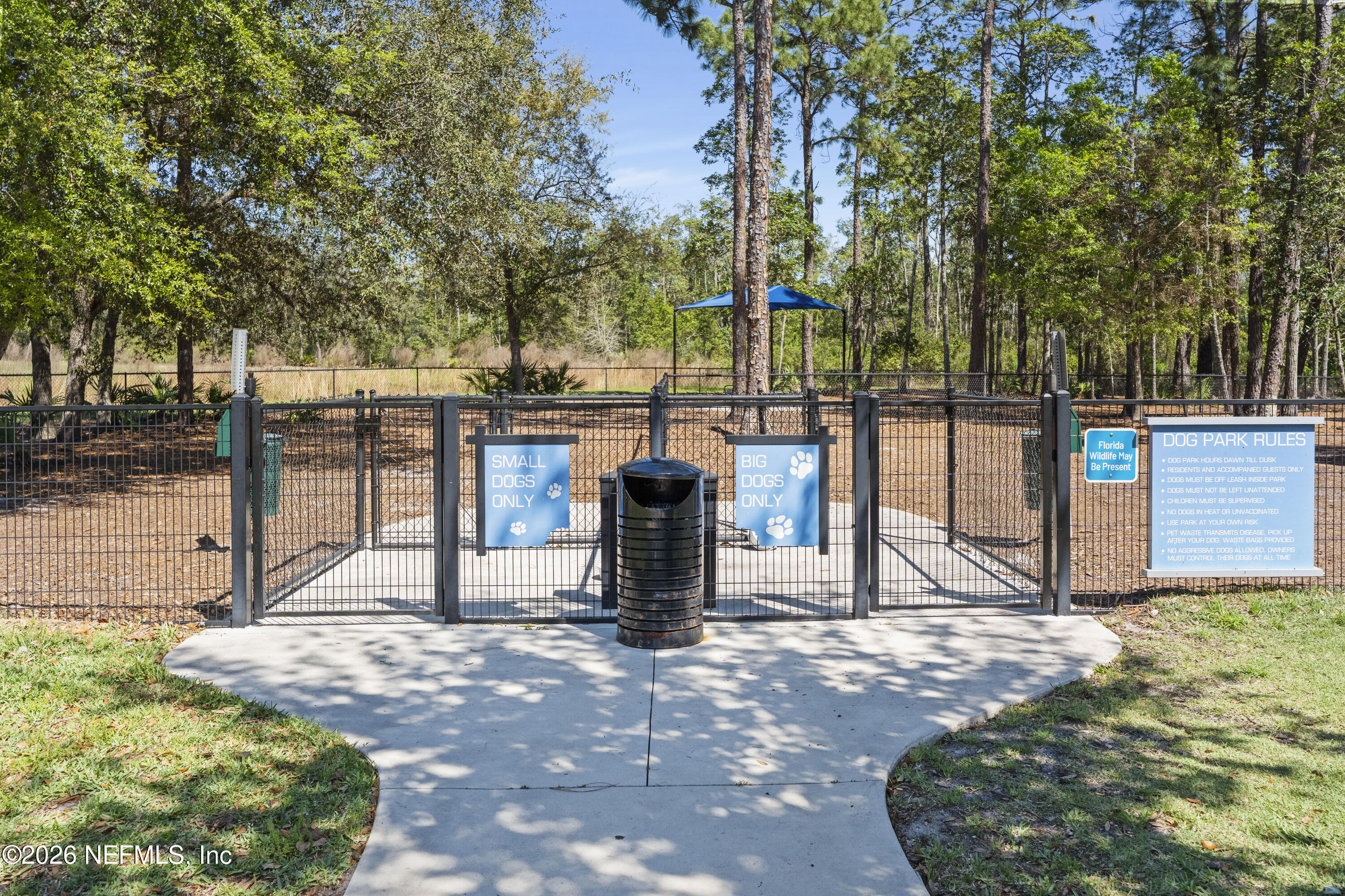 9834 INTELLECT Trail