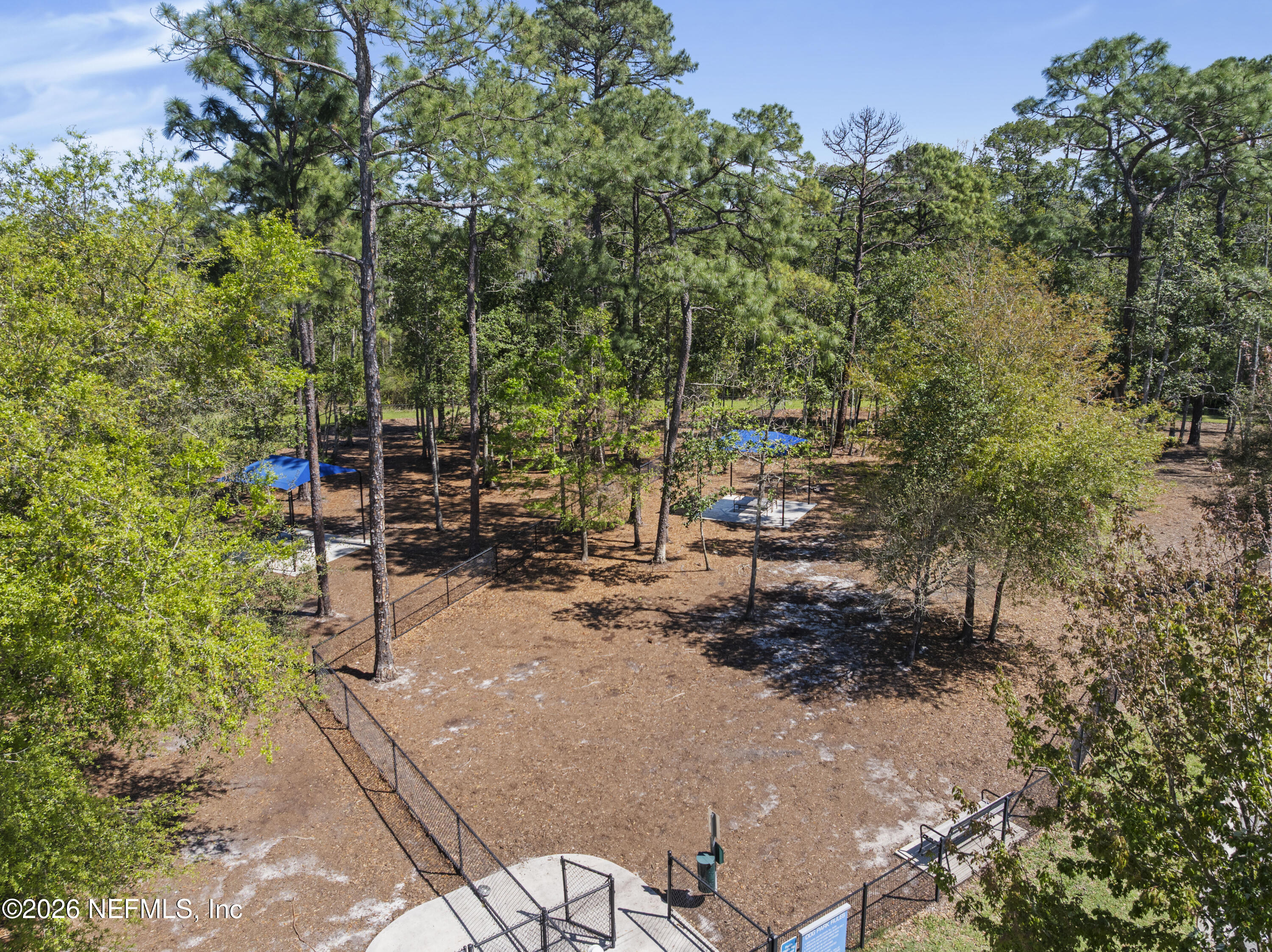 9834 INTELLECT Trail