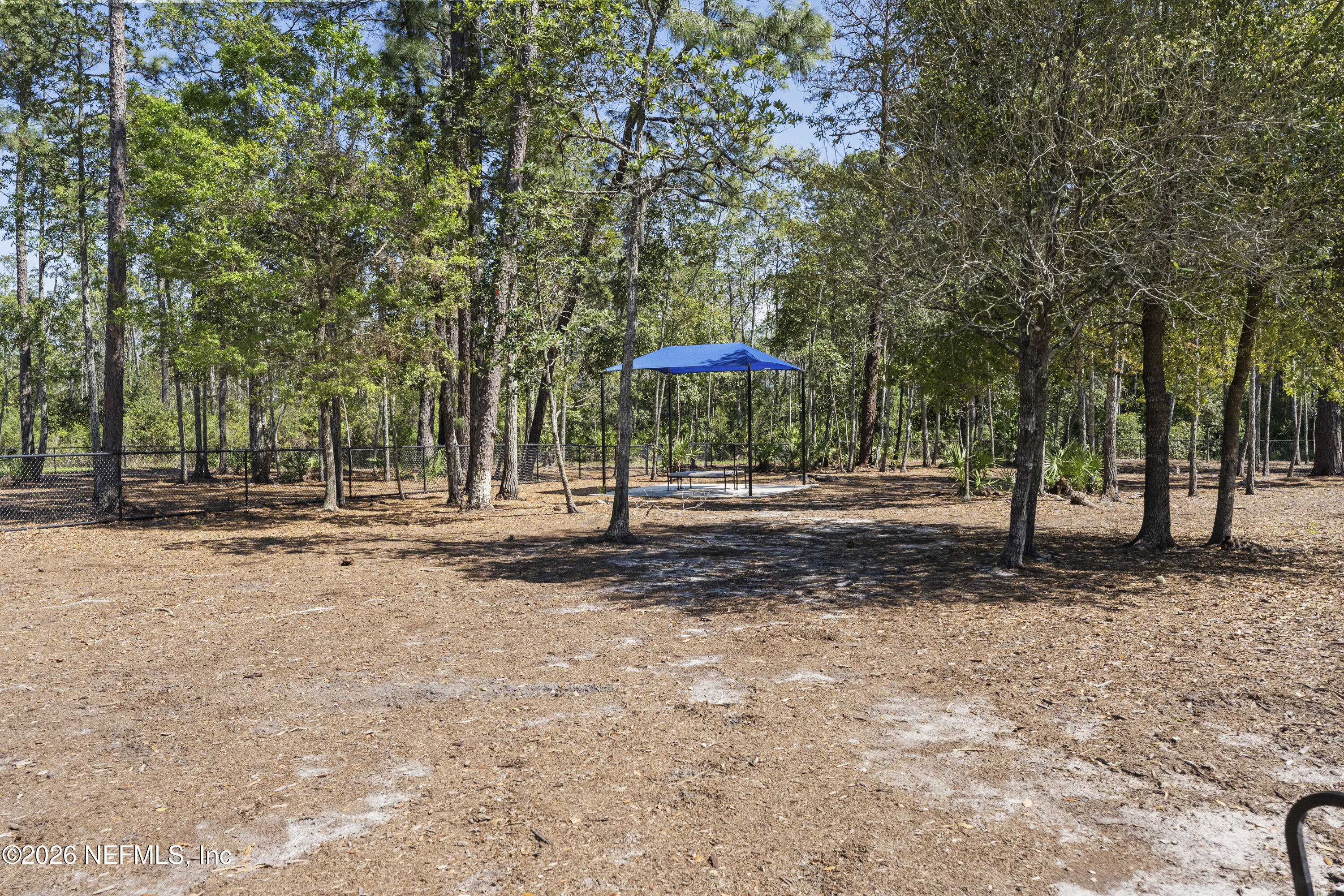 9834 INTELLECT Trail