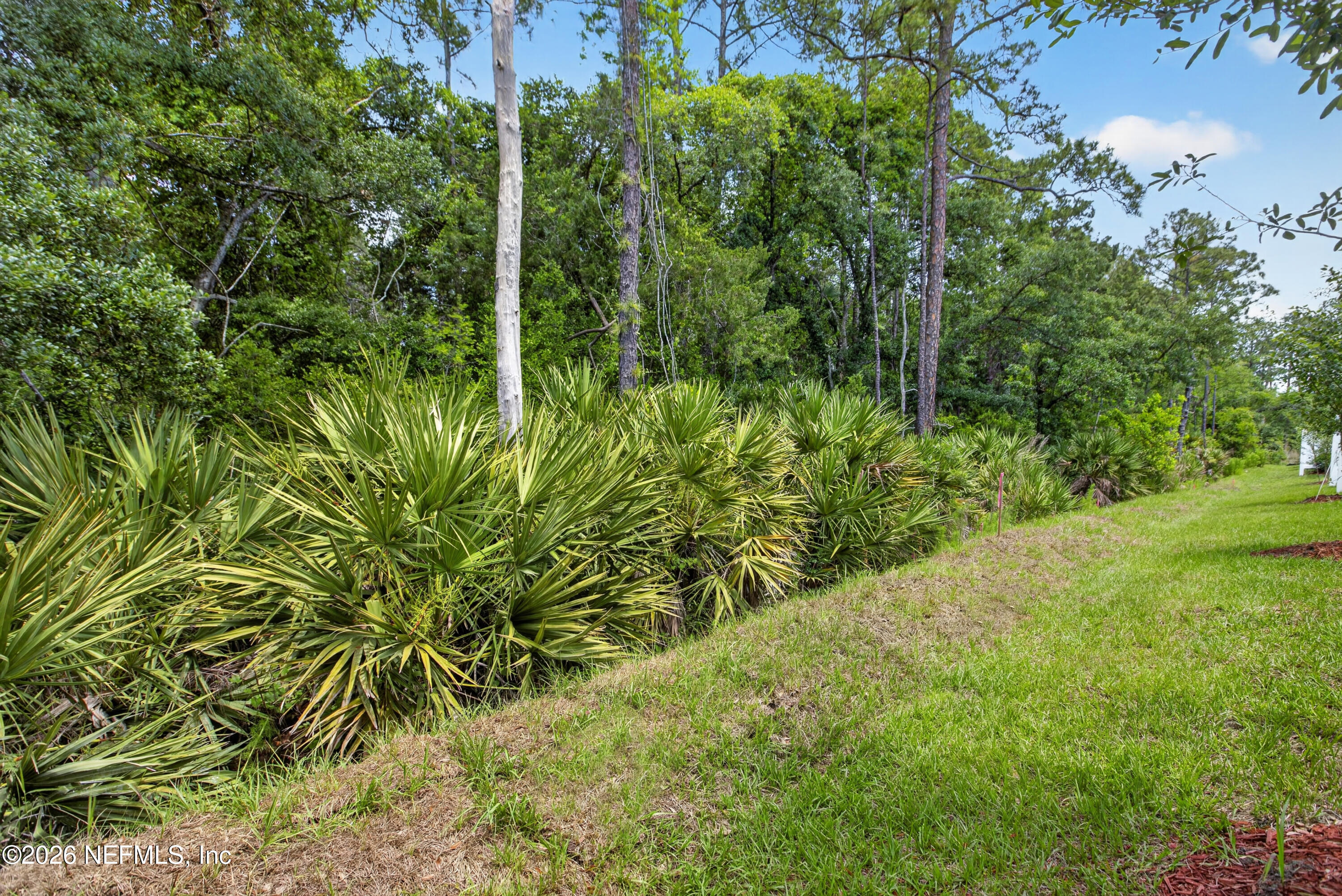 161 PALMETTO RIDGE Road, St. Augustine