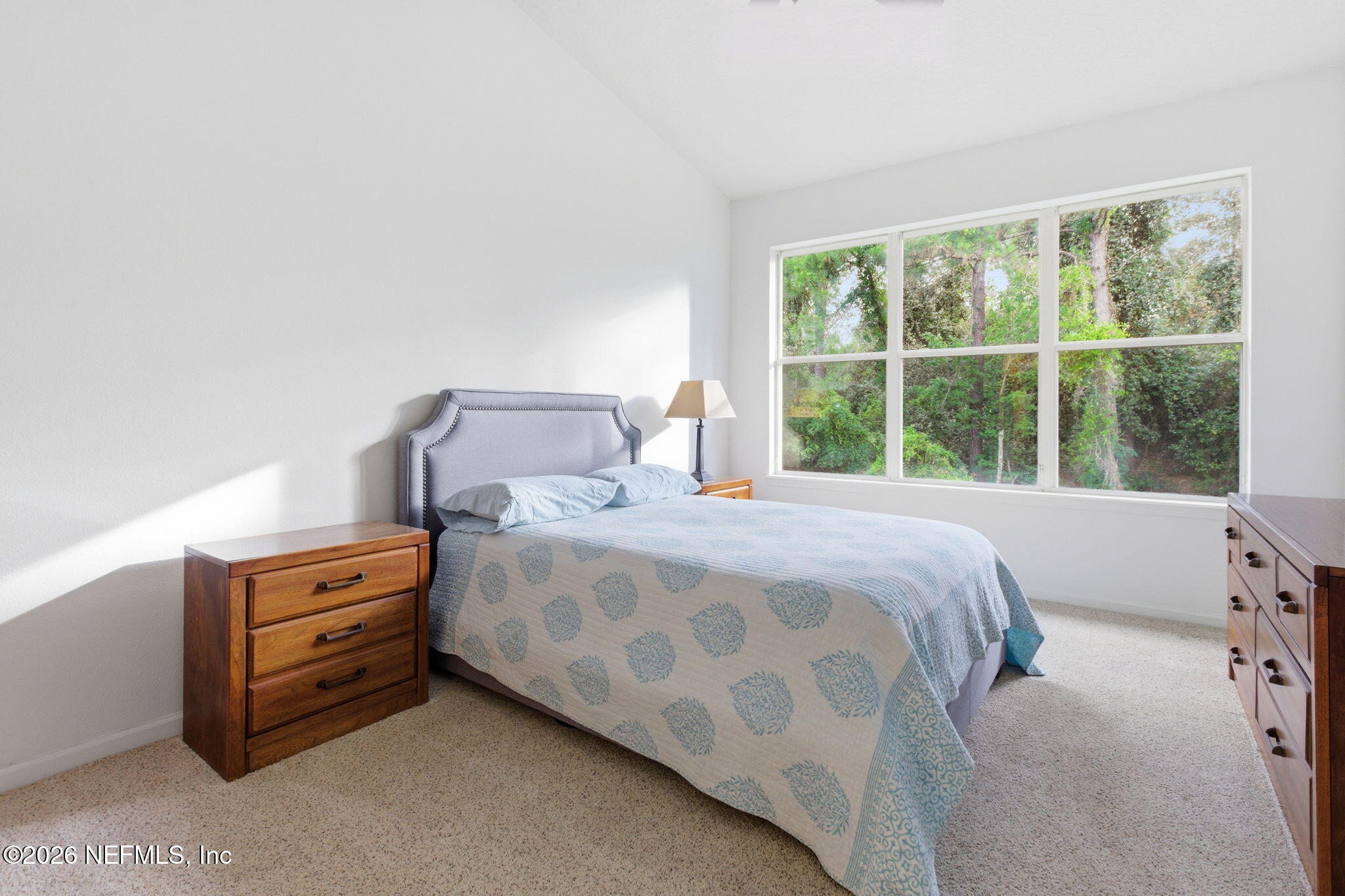 8521 LITTLE SWIFT Circle 34D