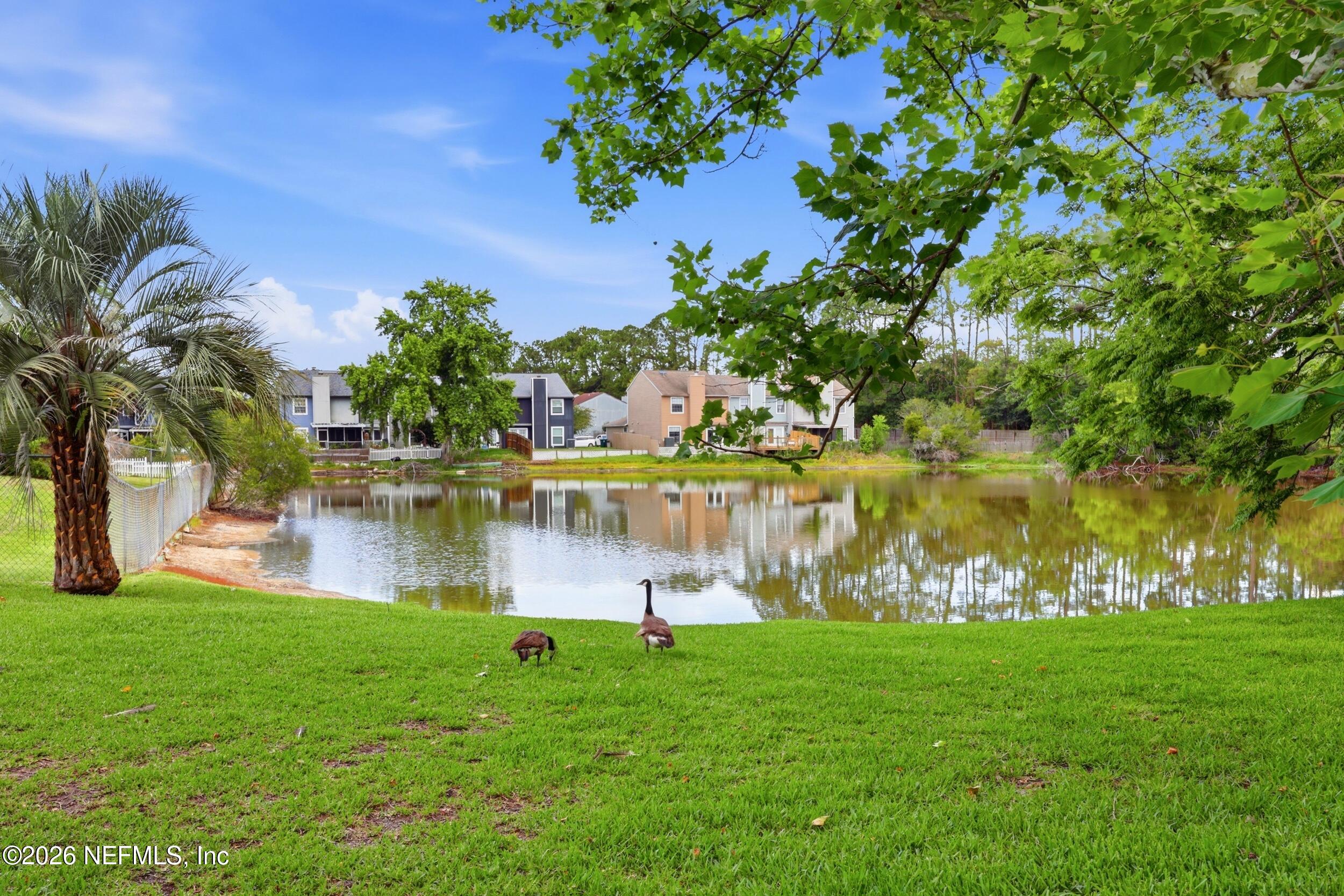 4585 CABBAGE POND Drive