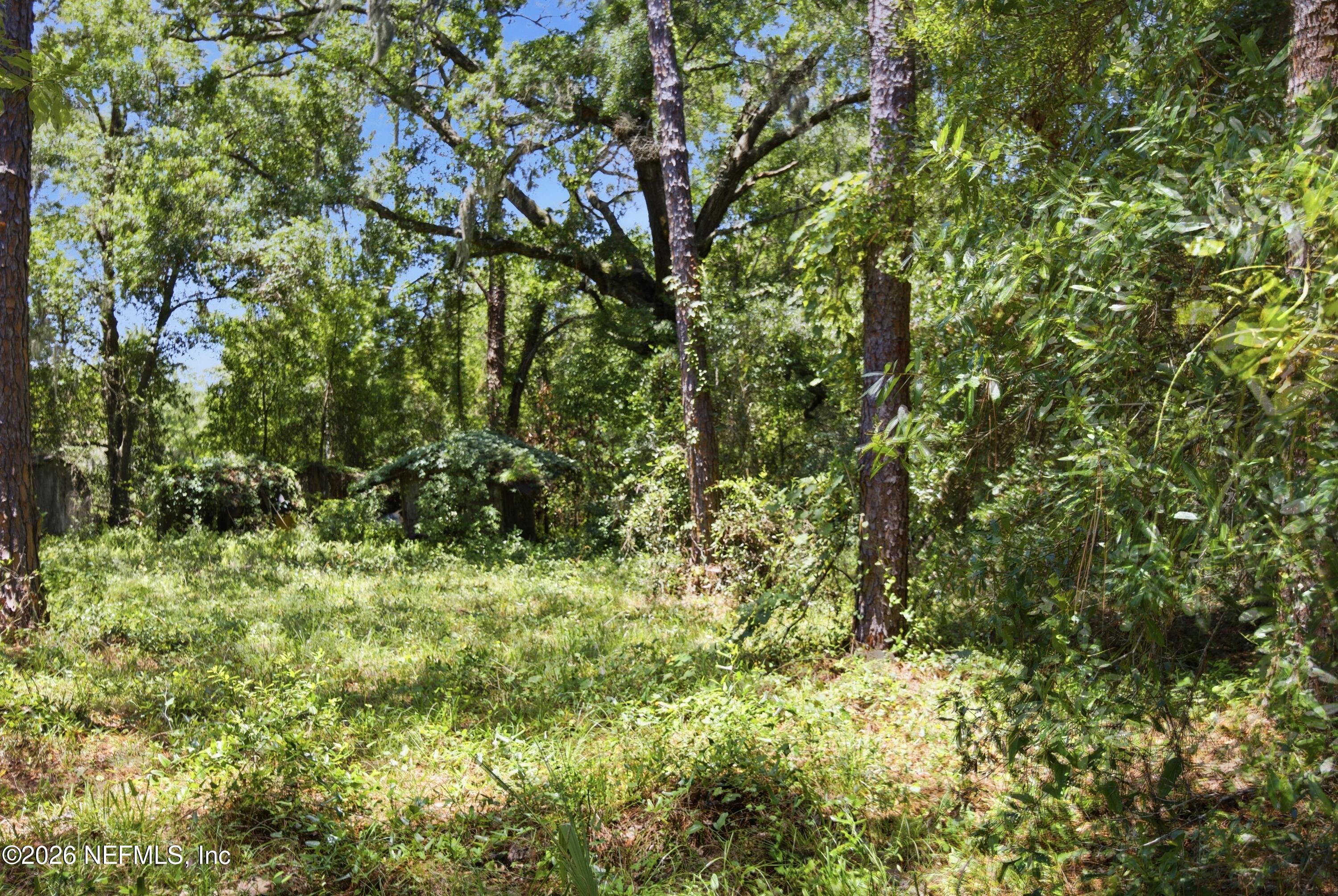 11265 LOCKE Lane