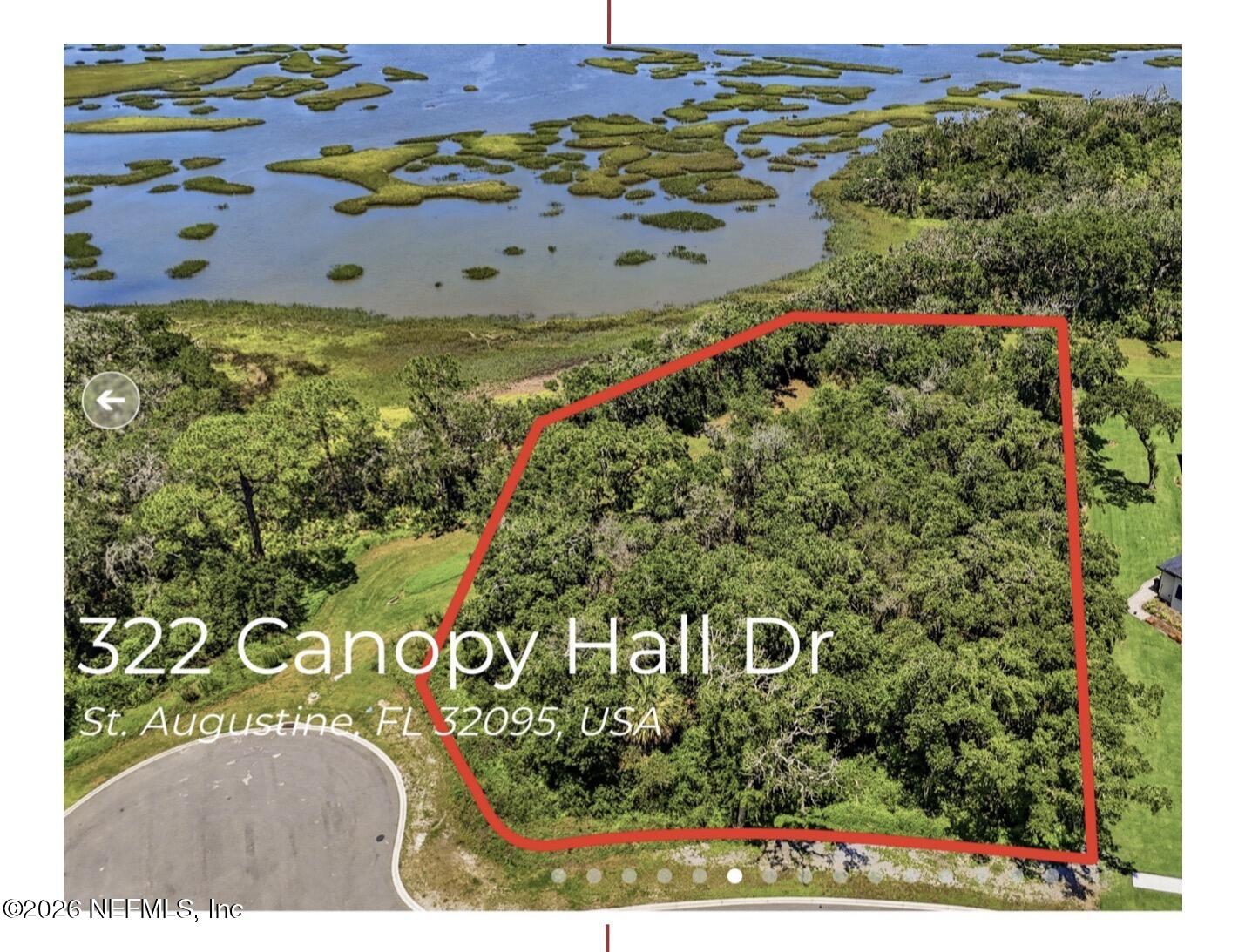 322 CANOPY HALL Drive, St. Augustine
